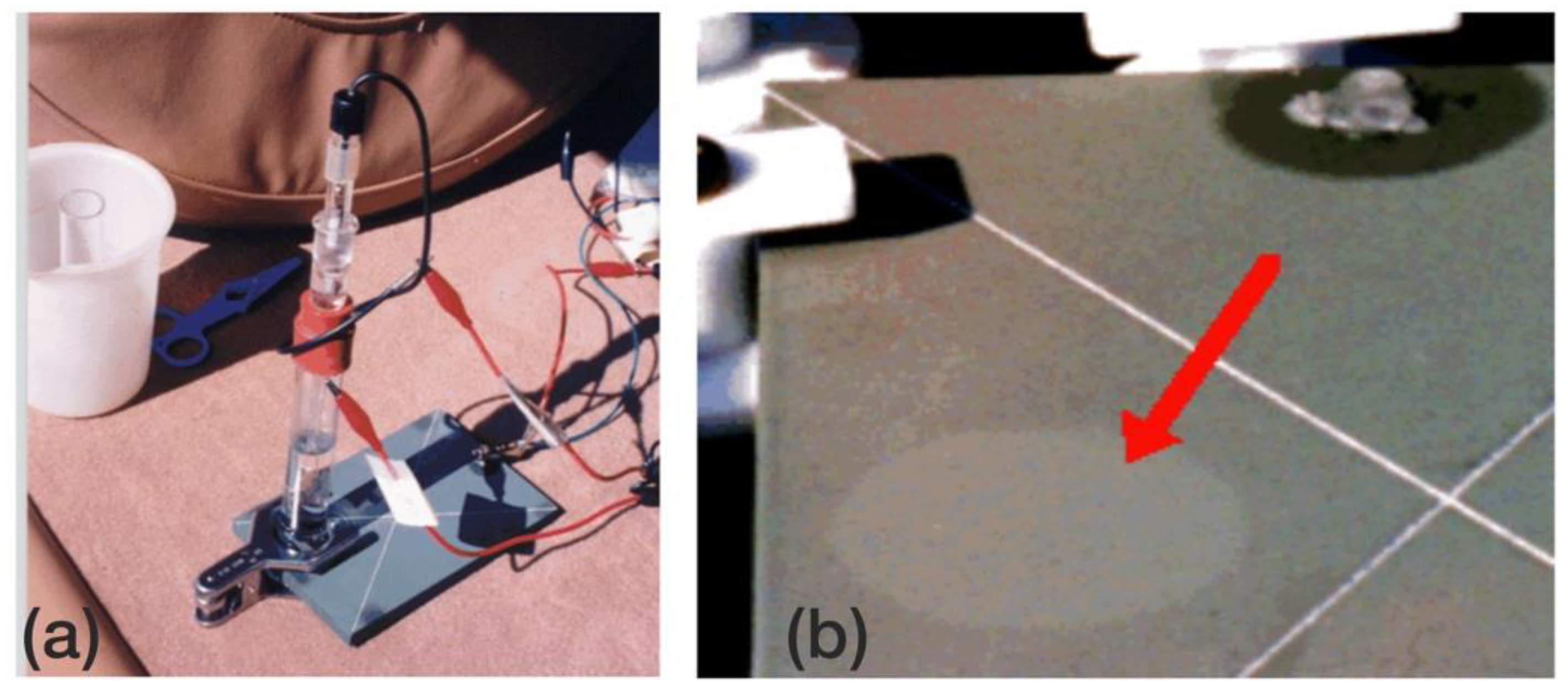 Coatings 12 00565 g007