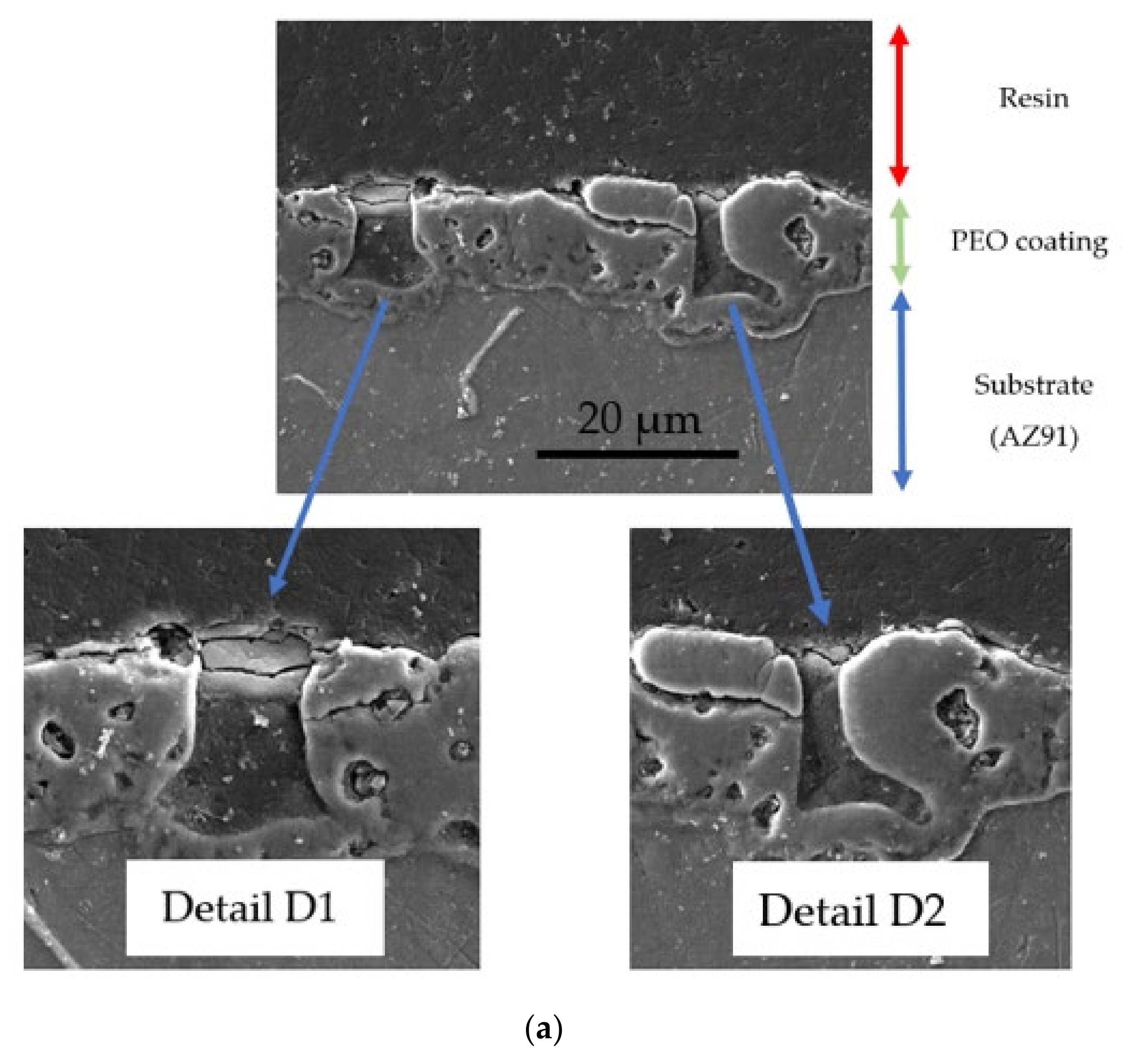 Coatings 12 00566 g004a