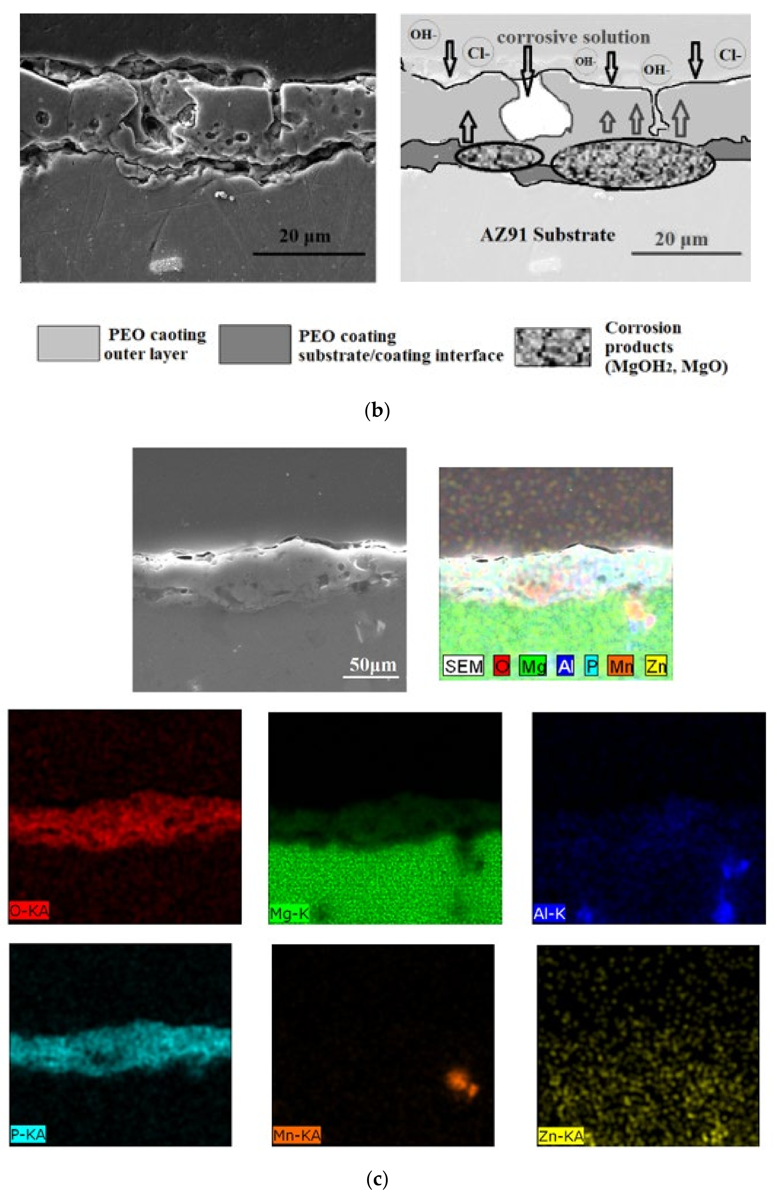 Coatings 12 00566 g004b