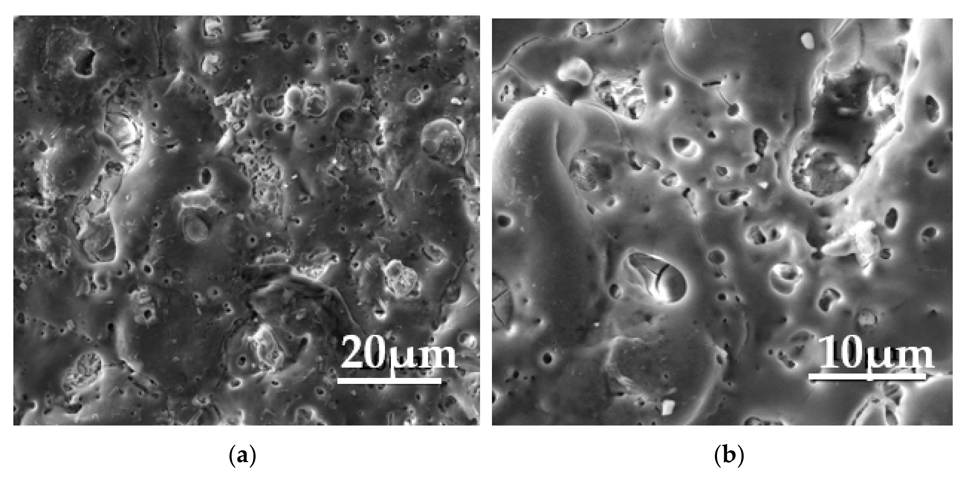 Coatings 12 00566 g005