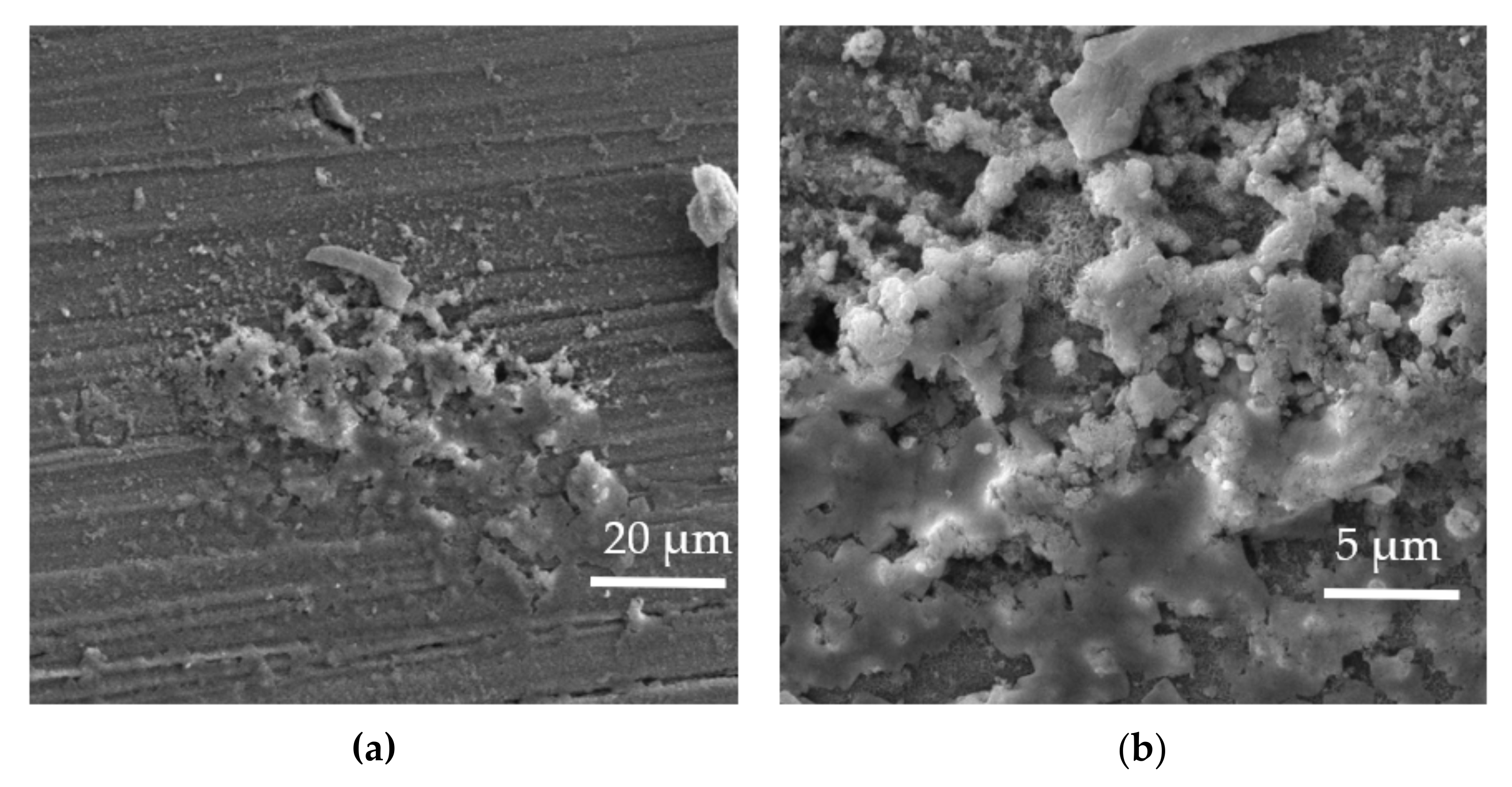 Coatings 12 00566 g009