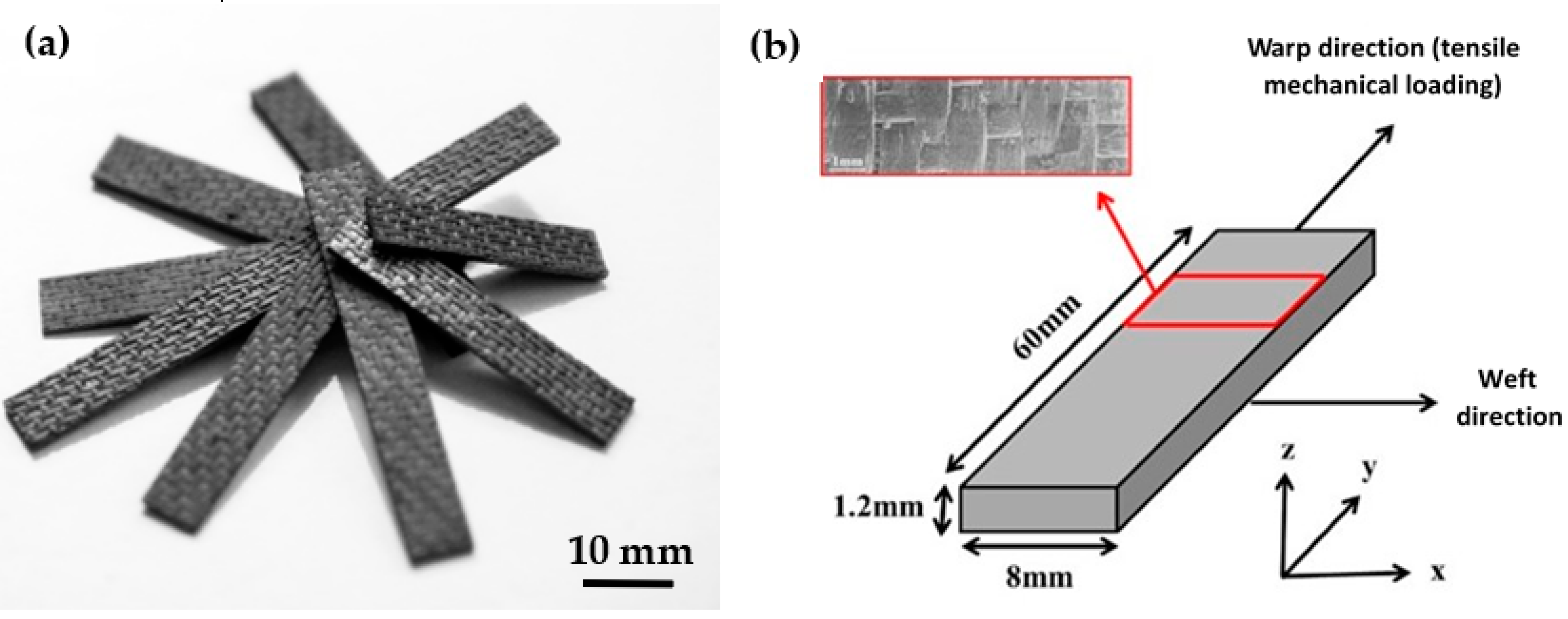 Coatings | Free Full-Text | Influence of Texture and Thickness of  Pyrocarbon Coatings as Interphase on the Mechanical Behavior of Specific  2.5D SiC/SiC Composites Reinforced with Hi-Nicalon S Fibers