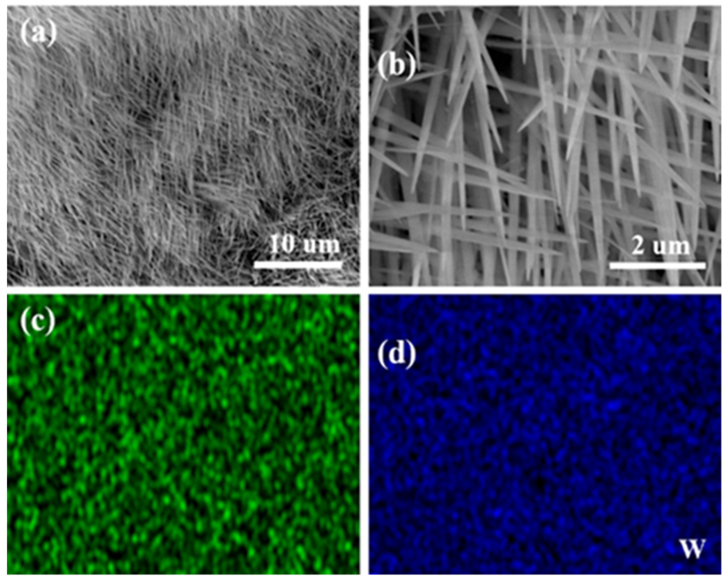 Coatings 12 00595 g002