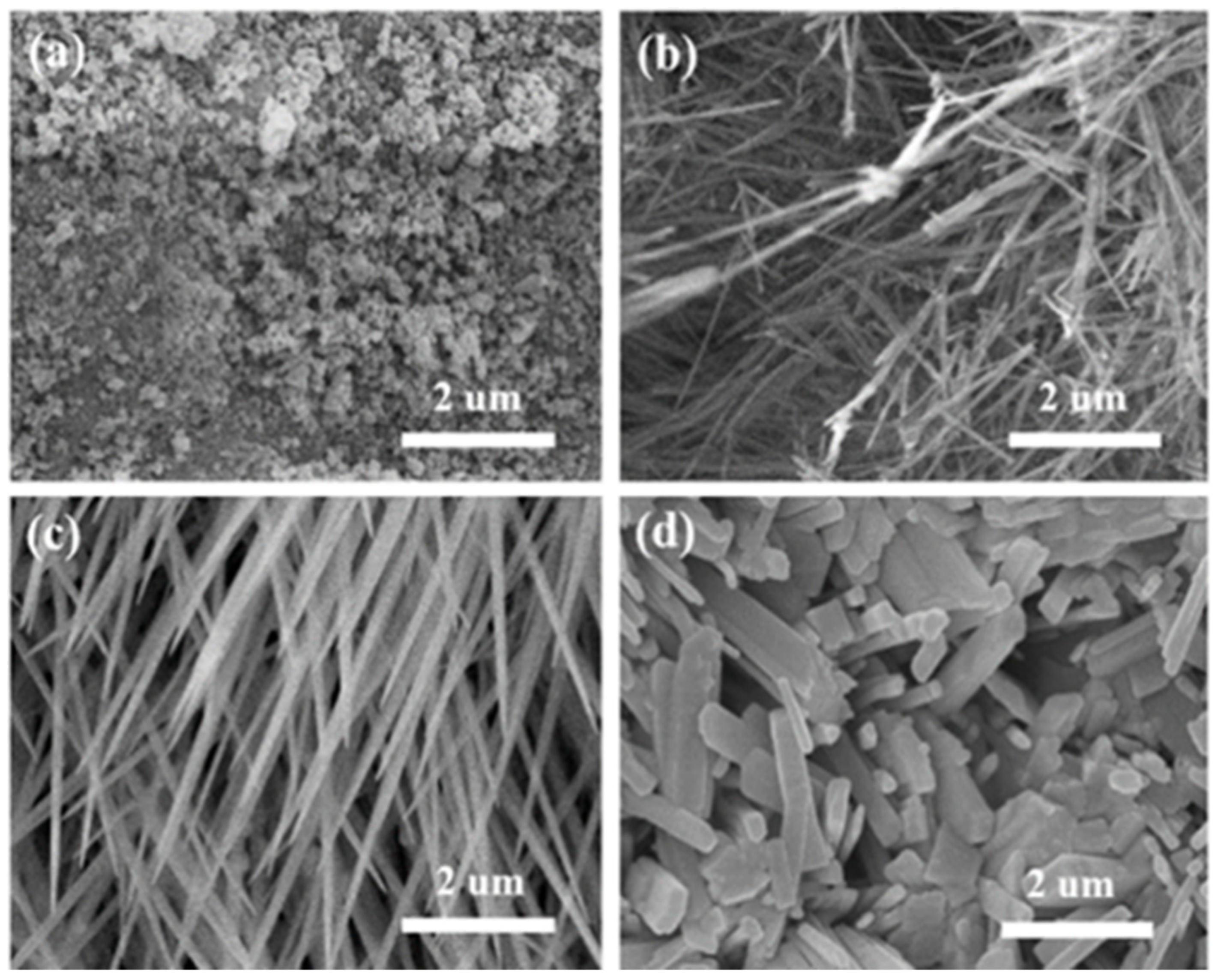 Coatings 12 00595 g003