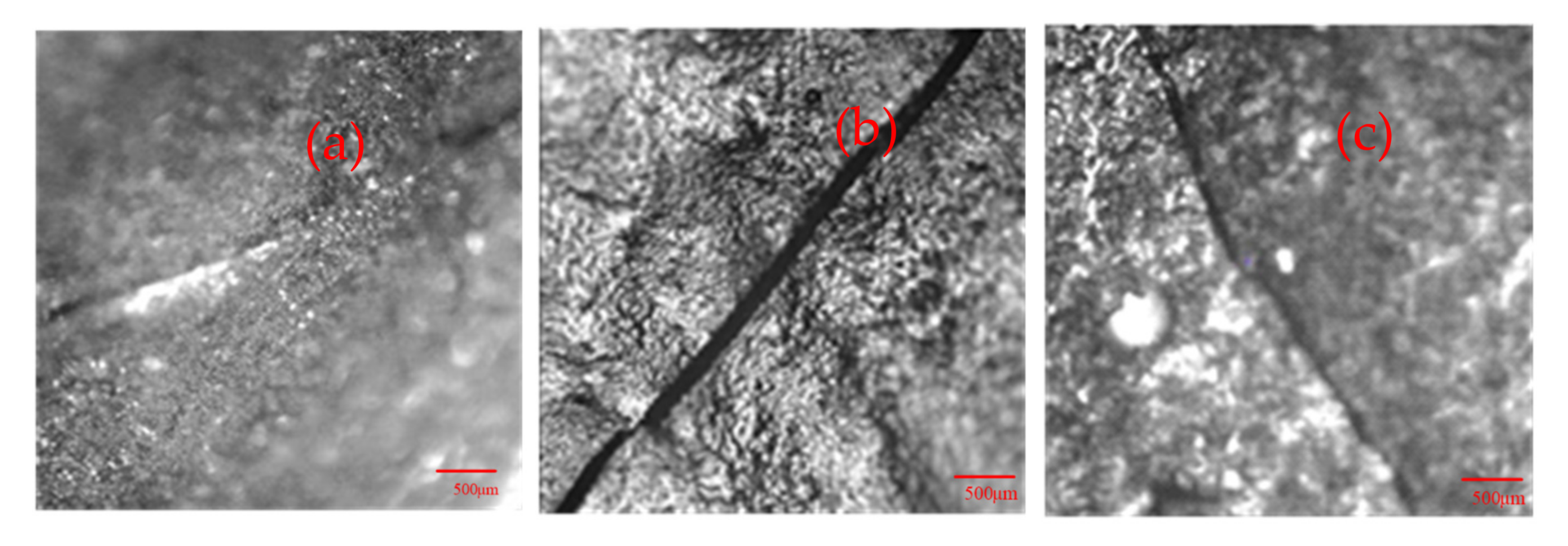 Coatings 12 00602 g002a