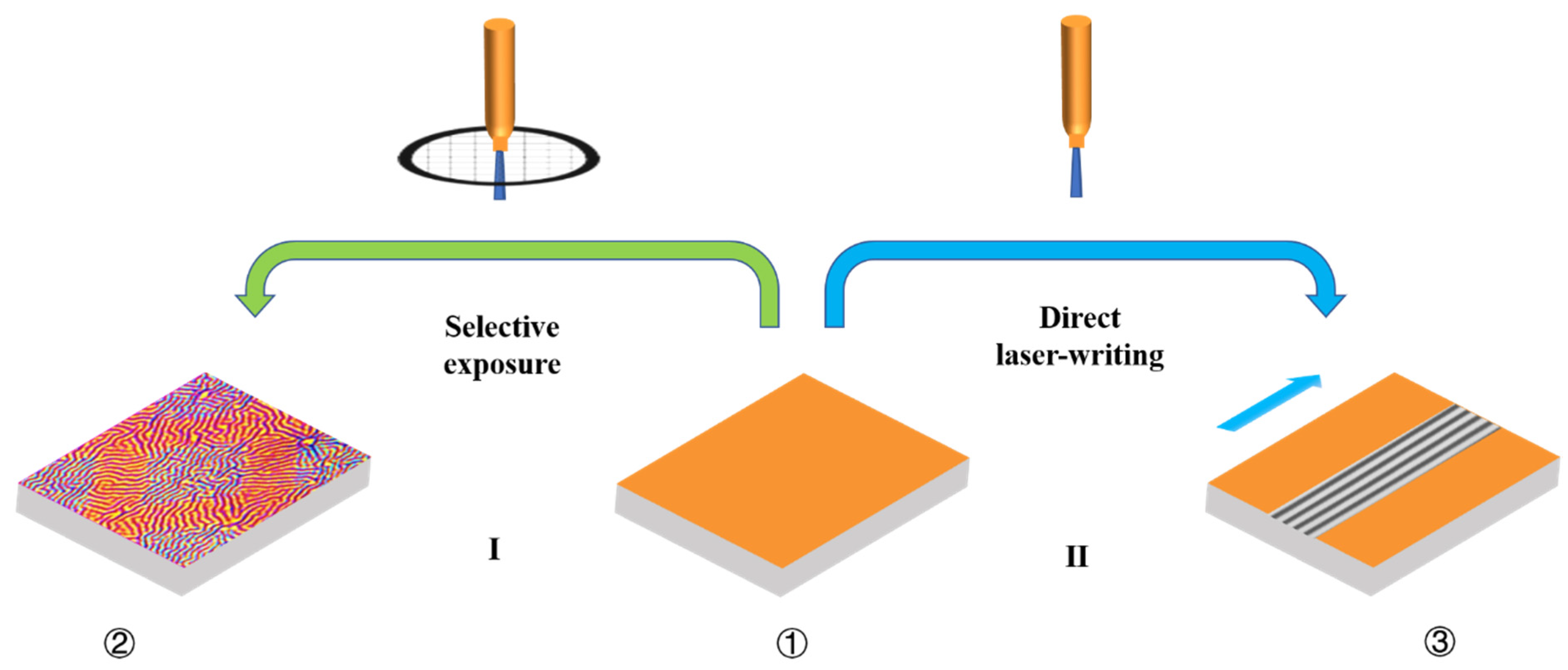 Coatings 12 00608 g002