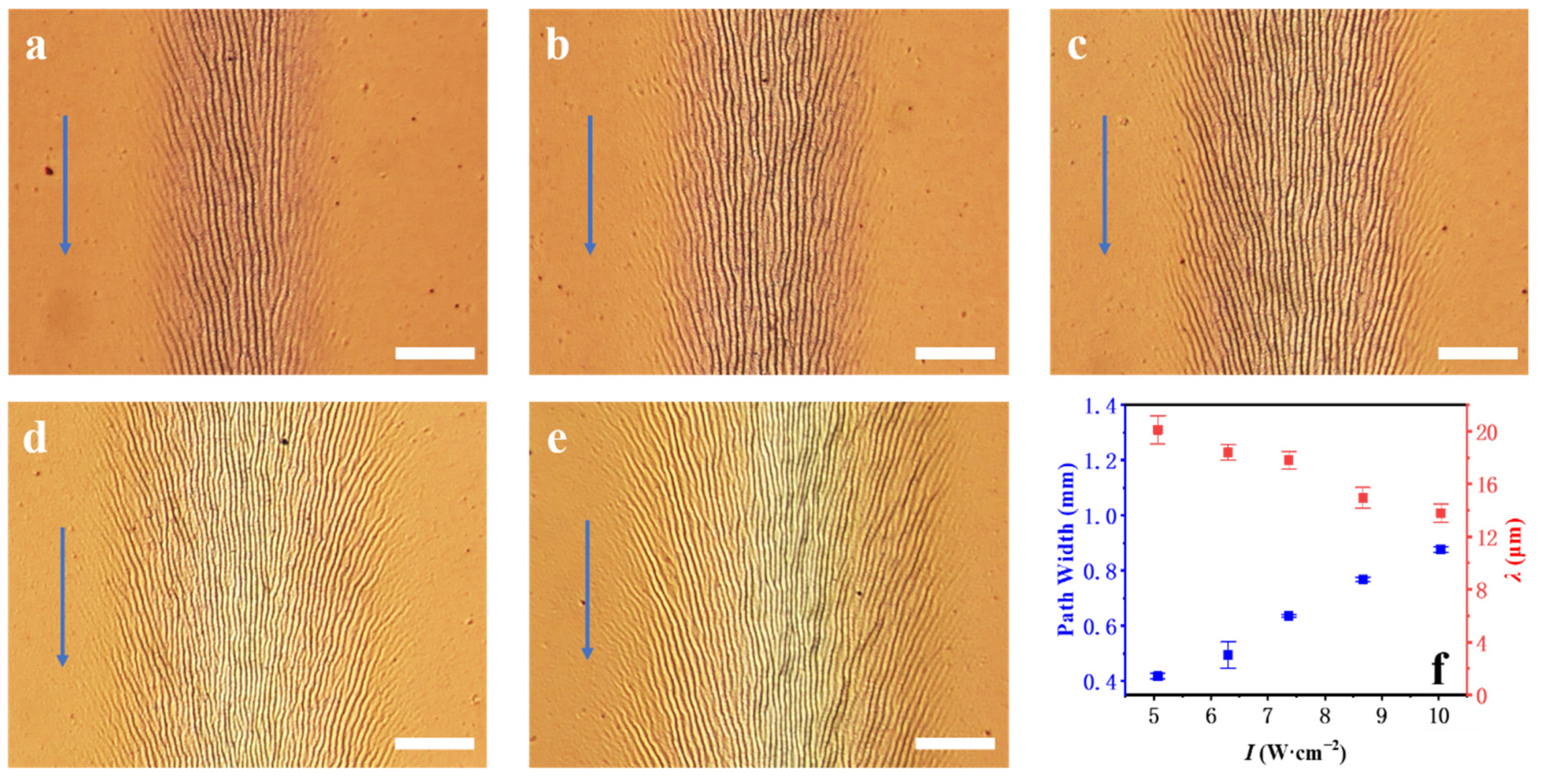 Coatings 12 00608 g005