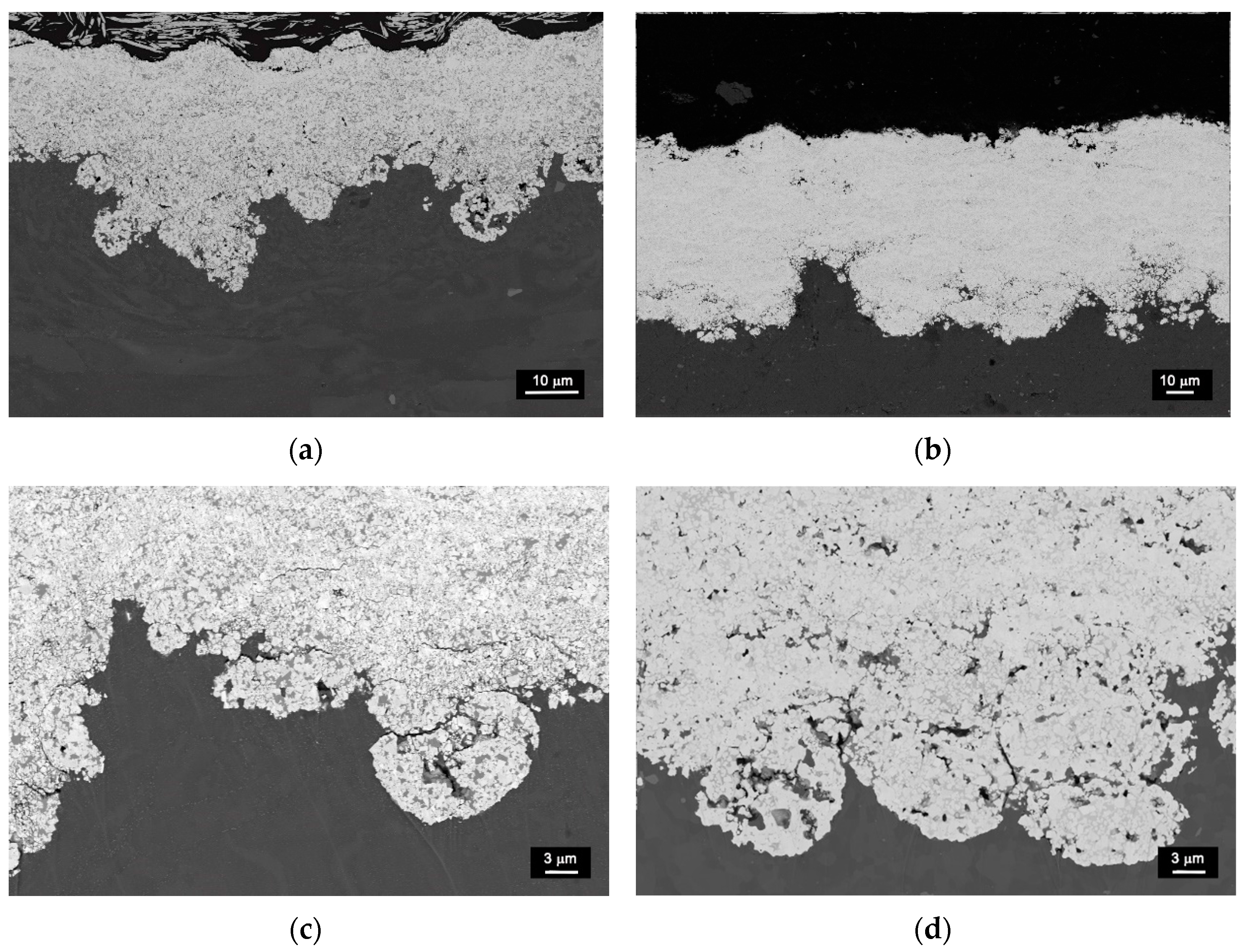 Coatings 12 00620 g003