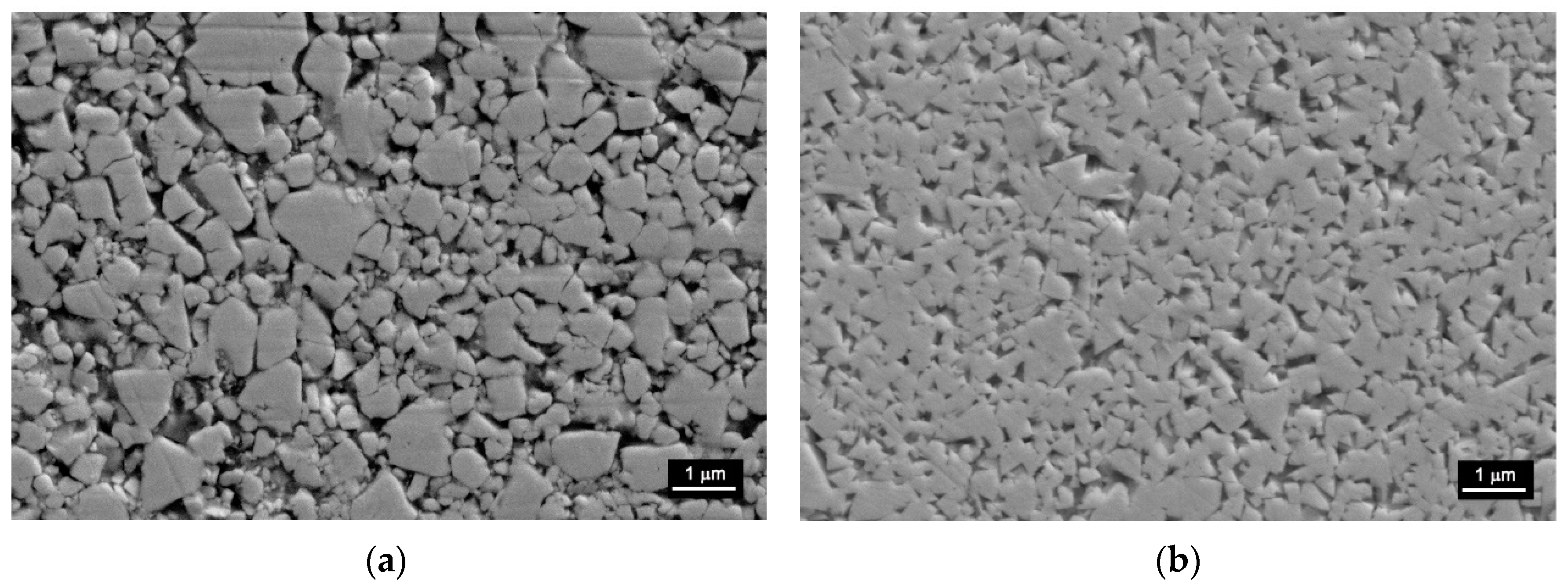 Coatings 12 00620 g010