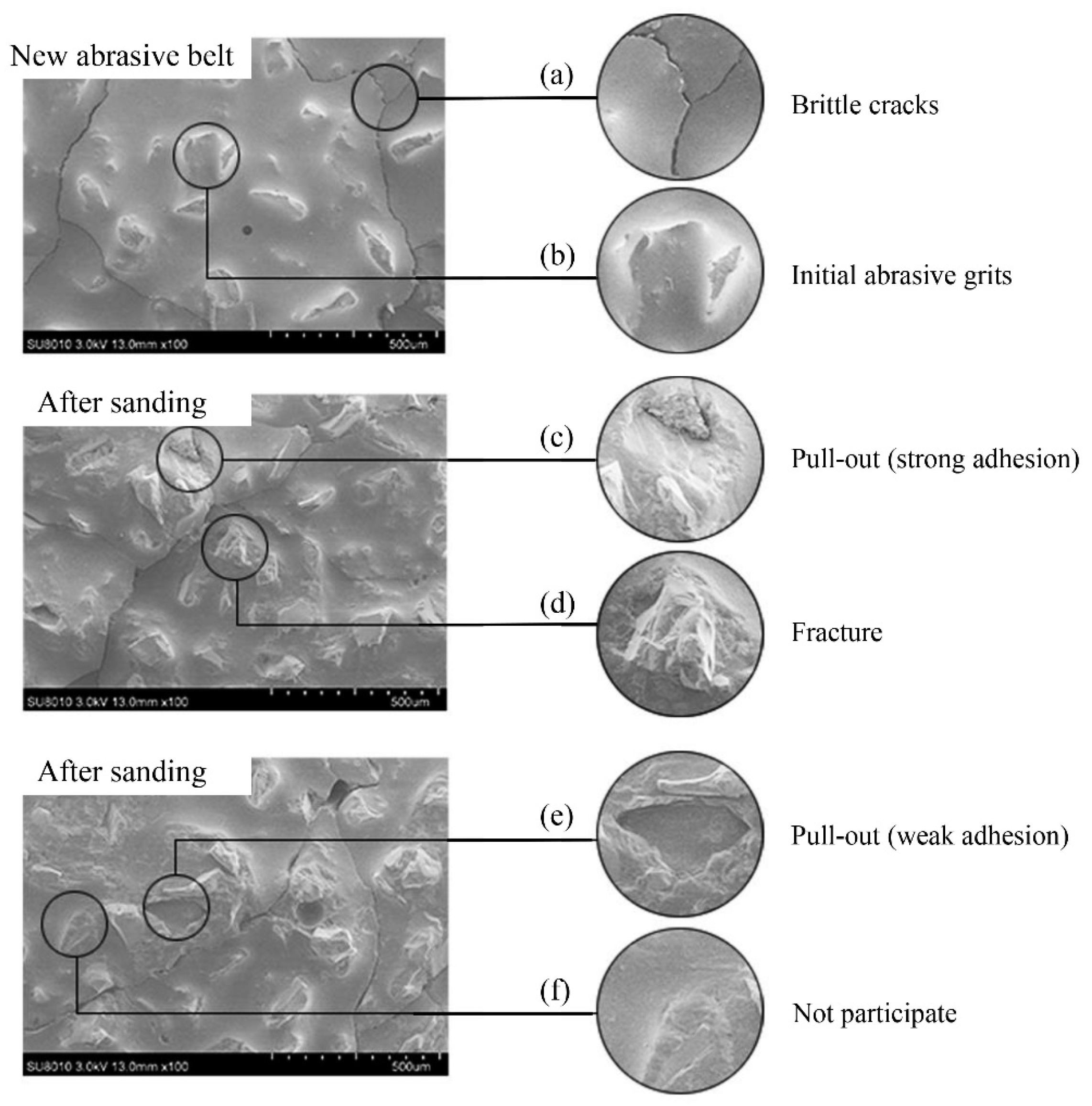 Coatings 12 00621 g006