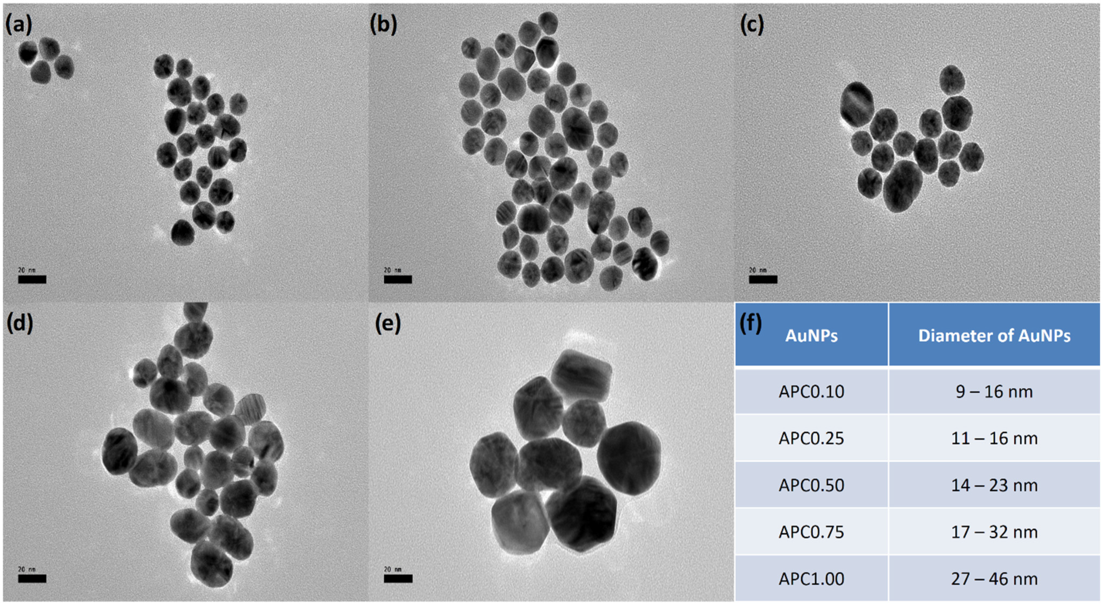 Coatings 12 00622 g001