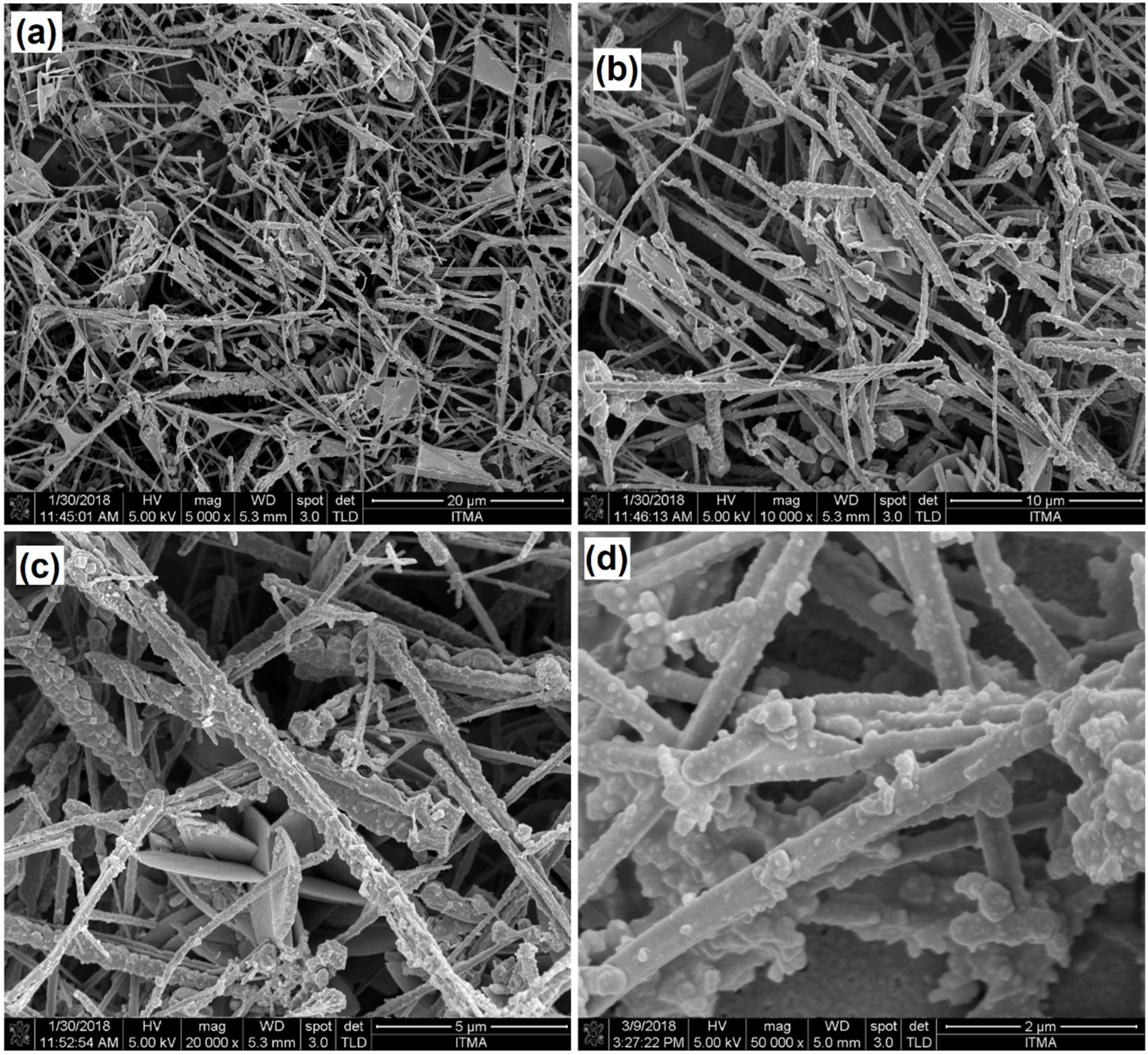Coatings 12 00622 g006