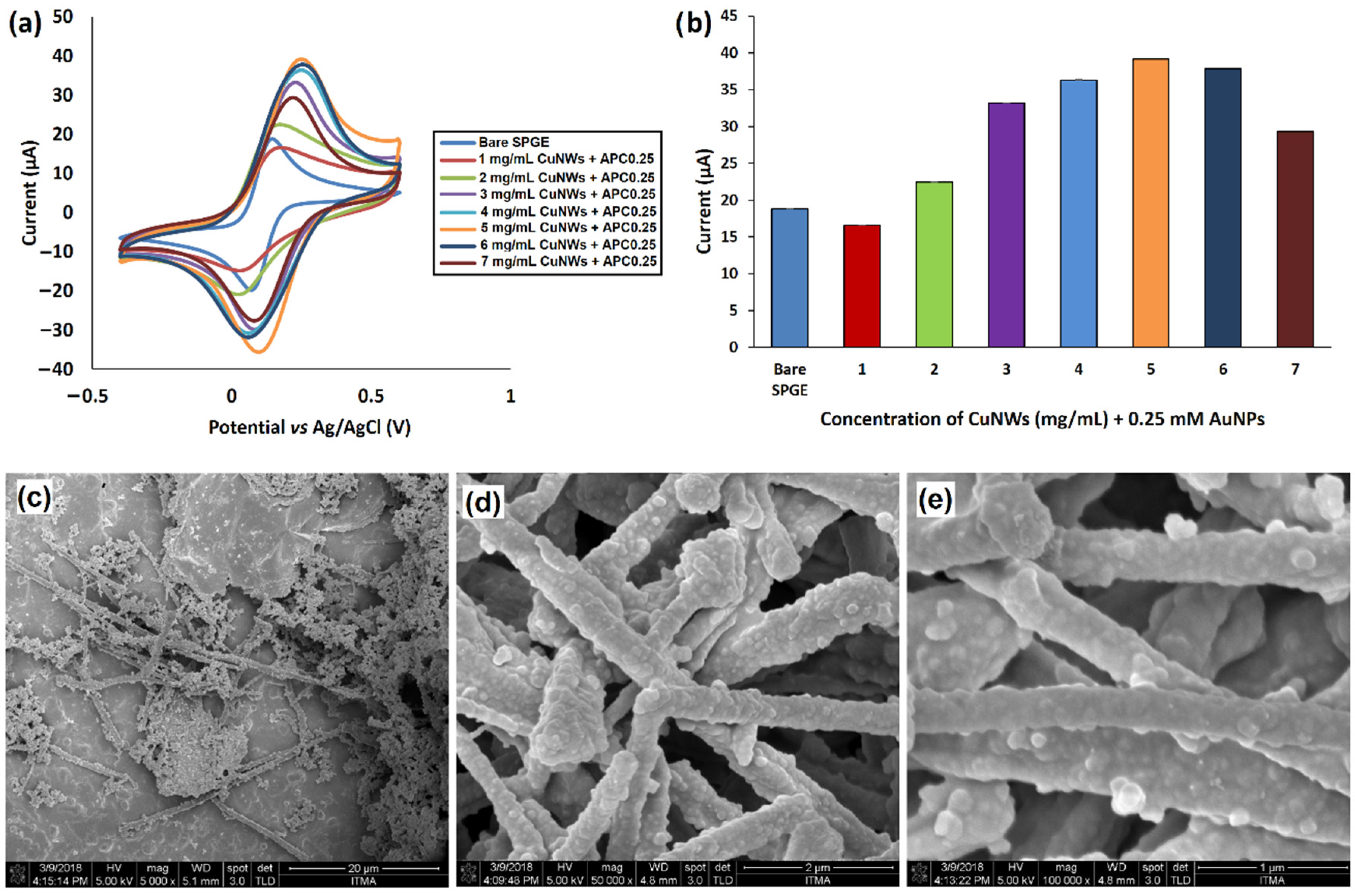 Coatings 12 00622 g007