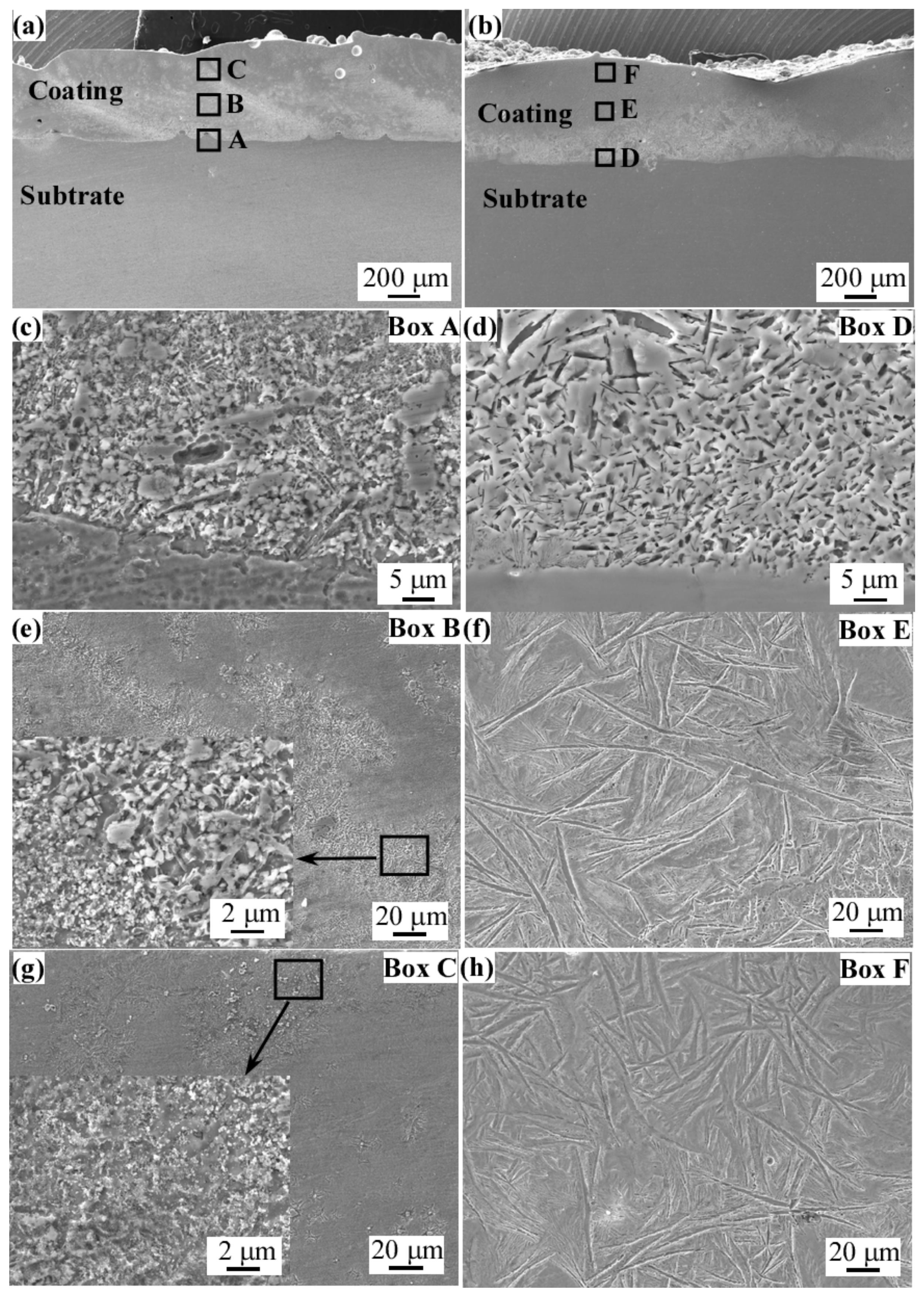 Coatings 12 00628 g004