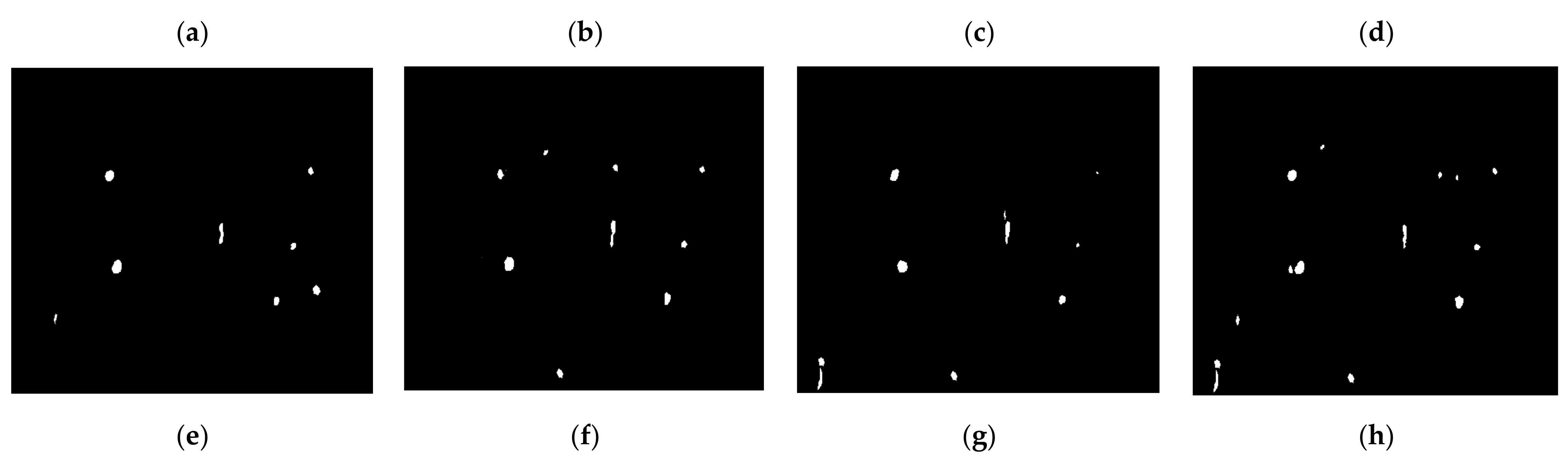 Coatings 12 00634 g011b