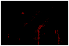 Coatings 12 00634 i002