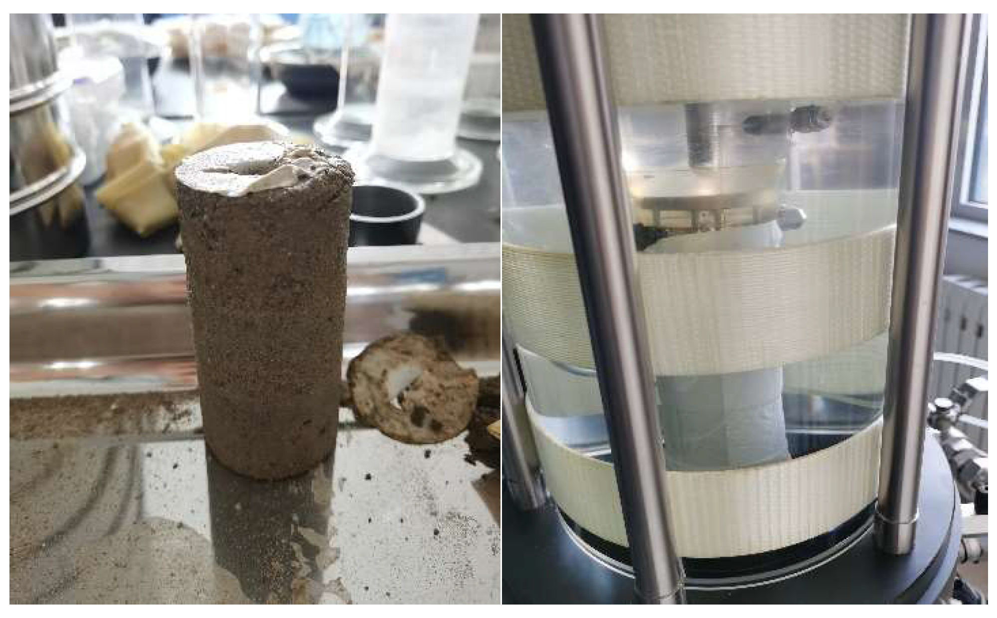 Coatings 12 00640 g005