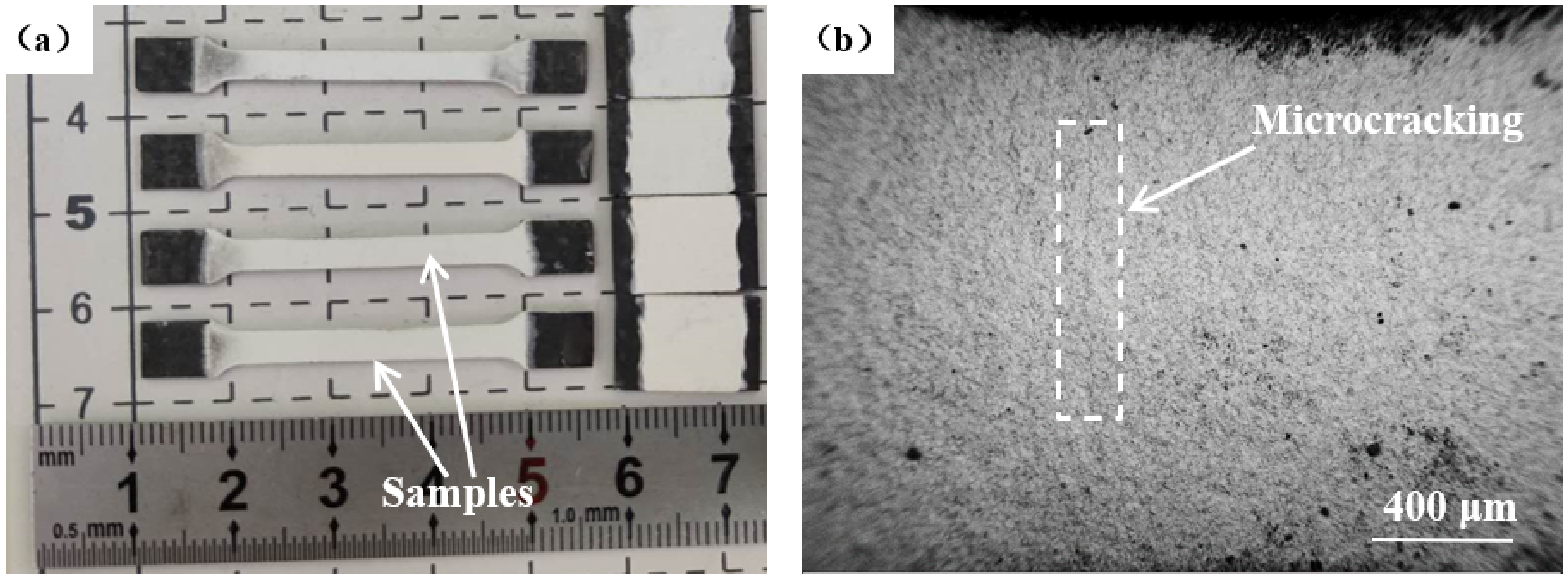 Coatings 12 00655 g002