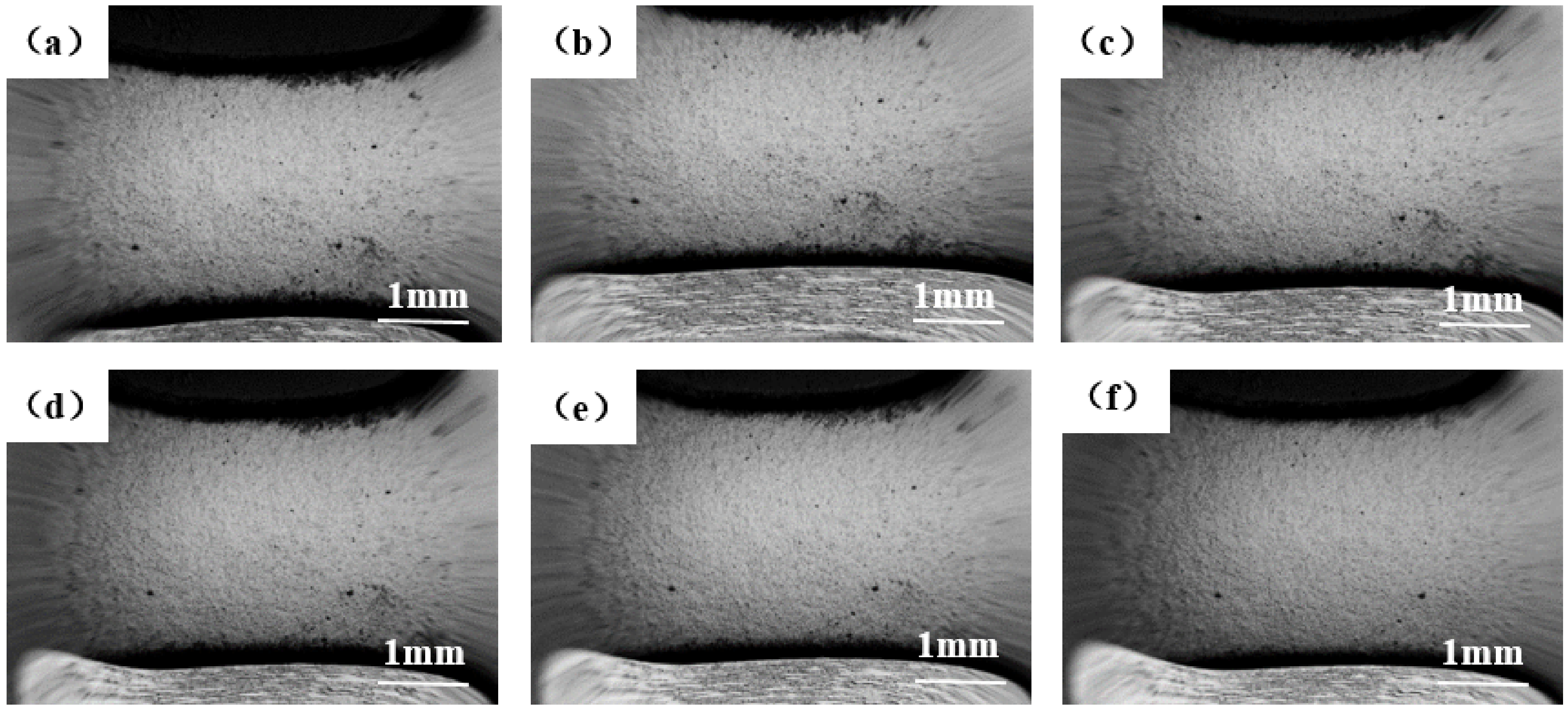 Coatings 12 00655 g003
