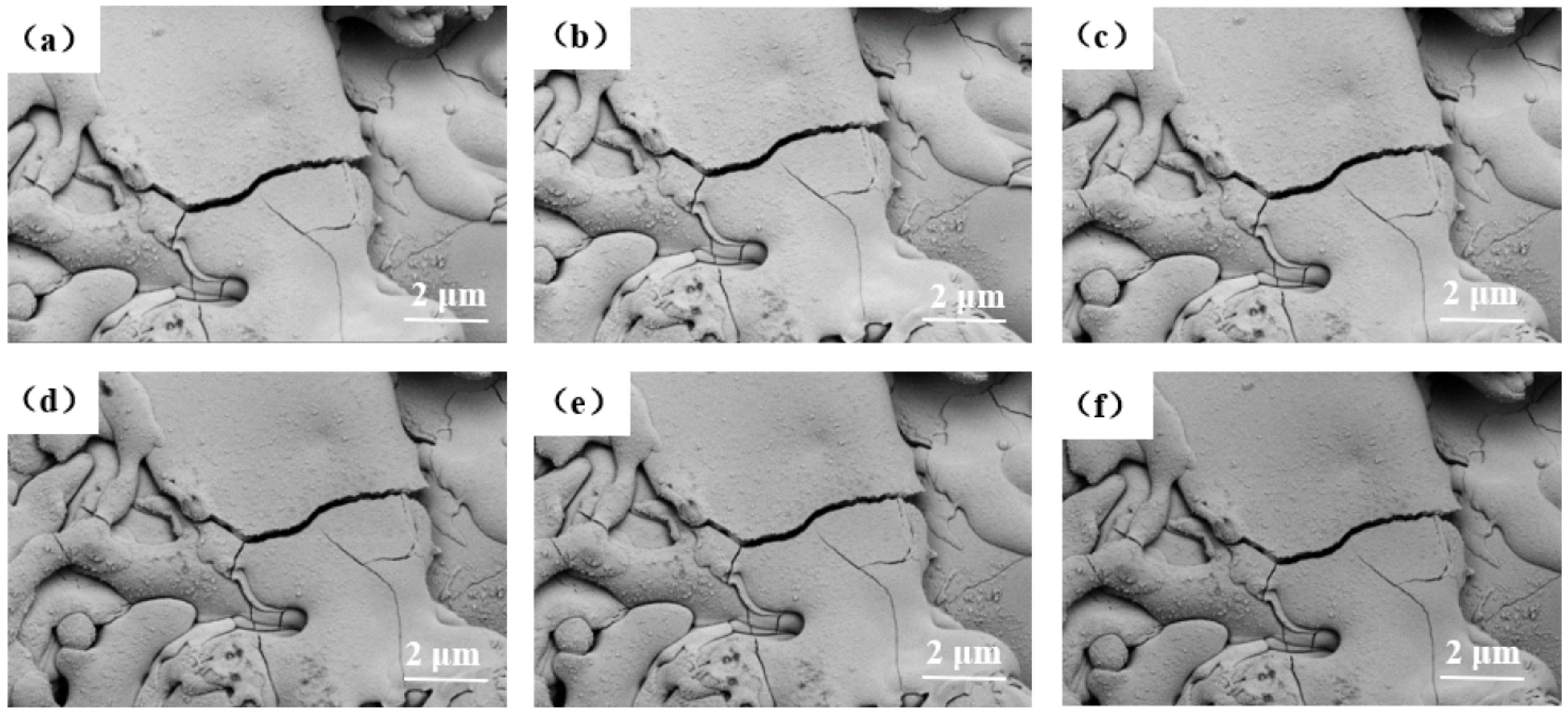 Coatings 12 00655 g004