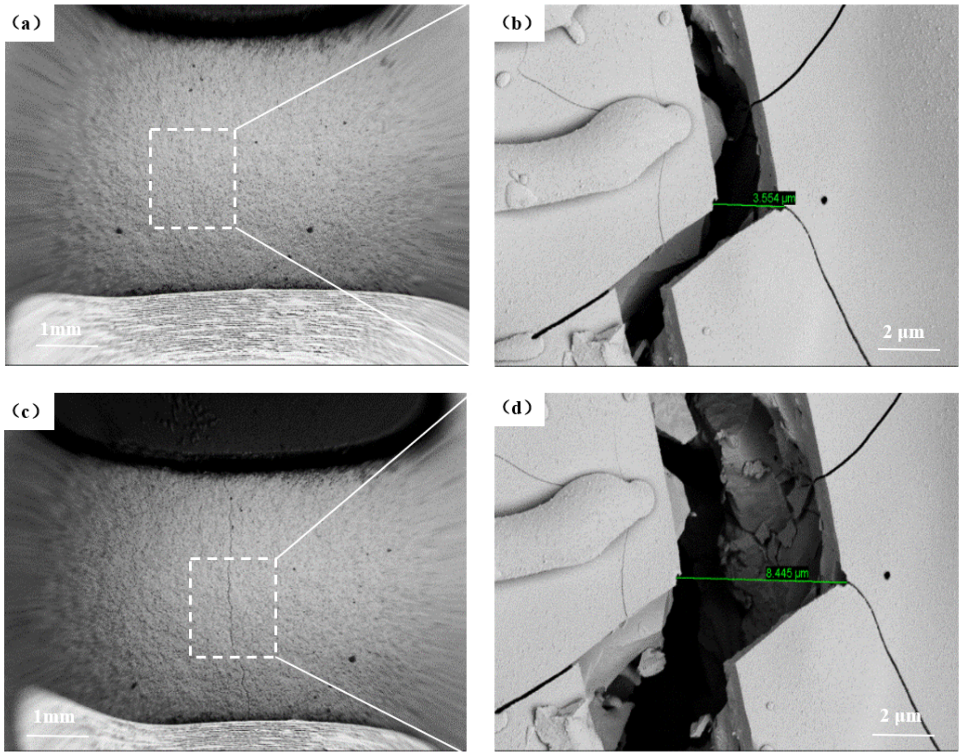 Coatings 12 00655 g008