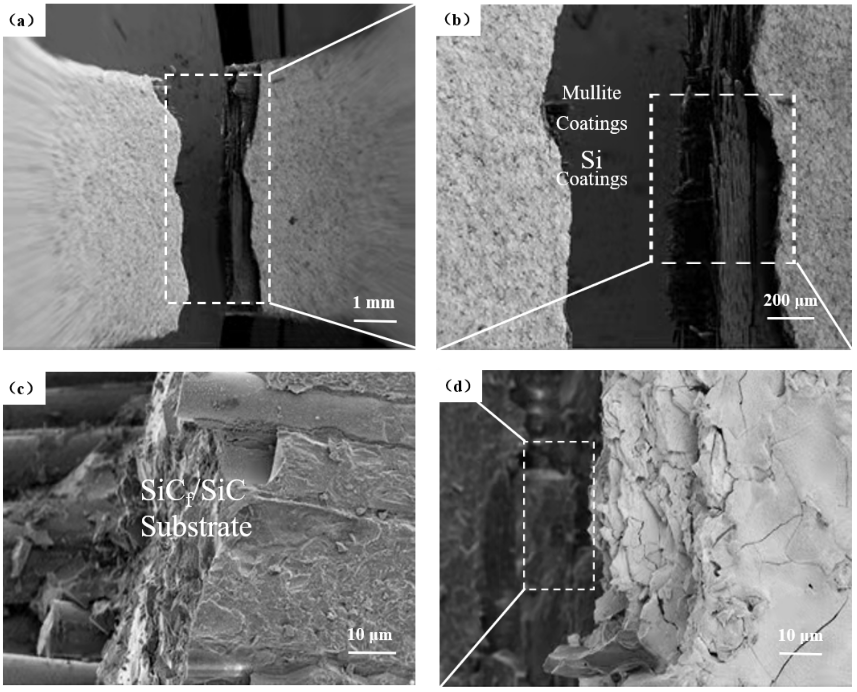 Coatings 12 00655 g009