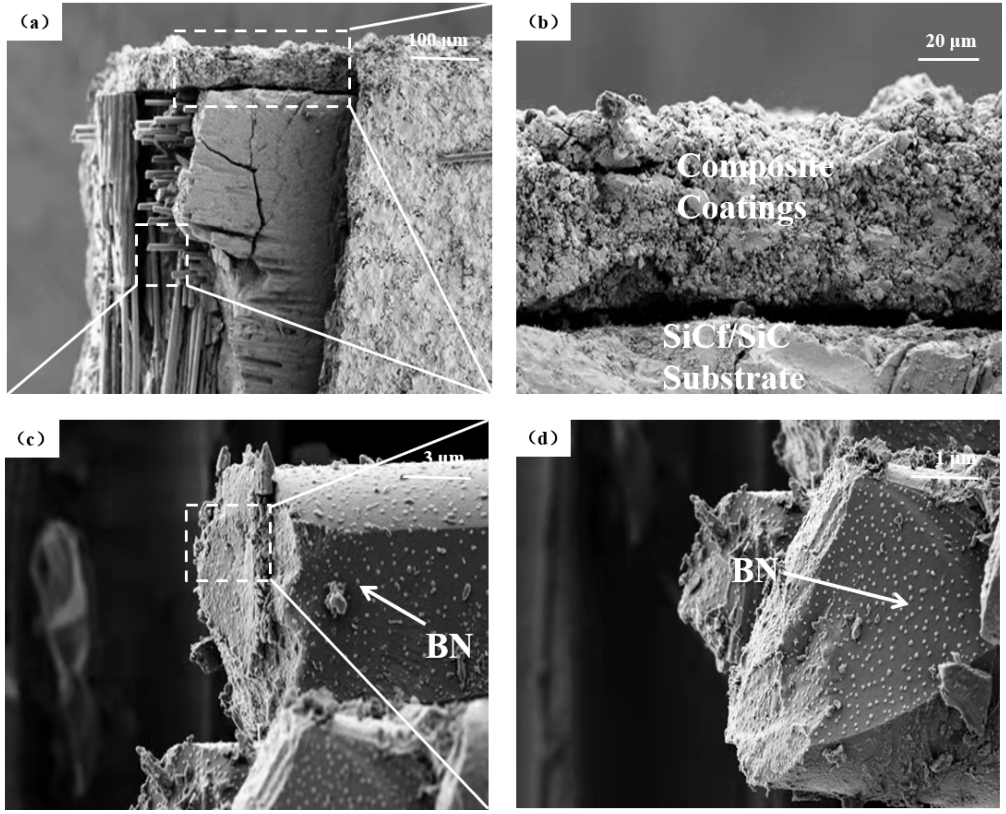 Coatings 12 00655 g010