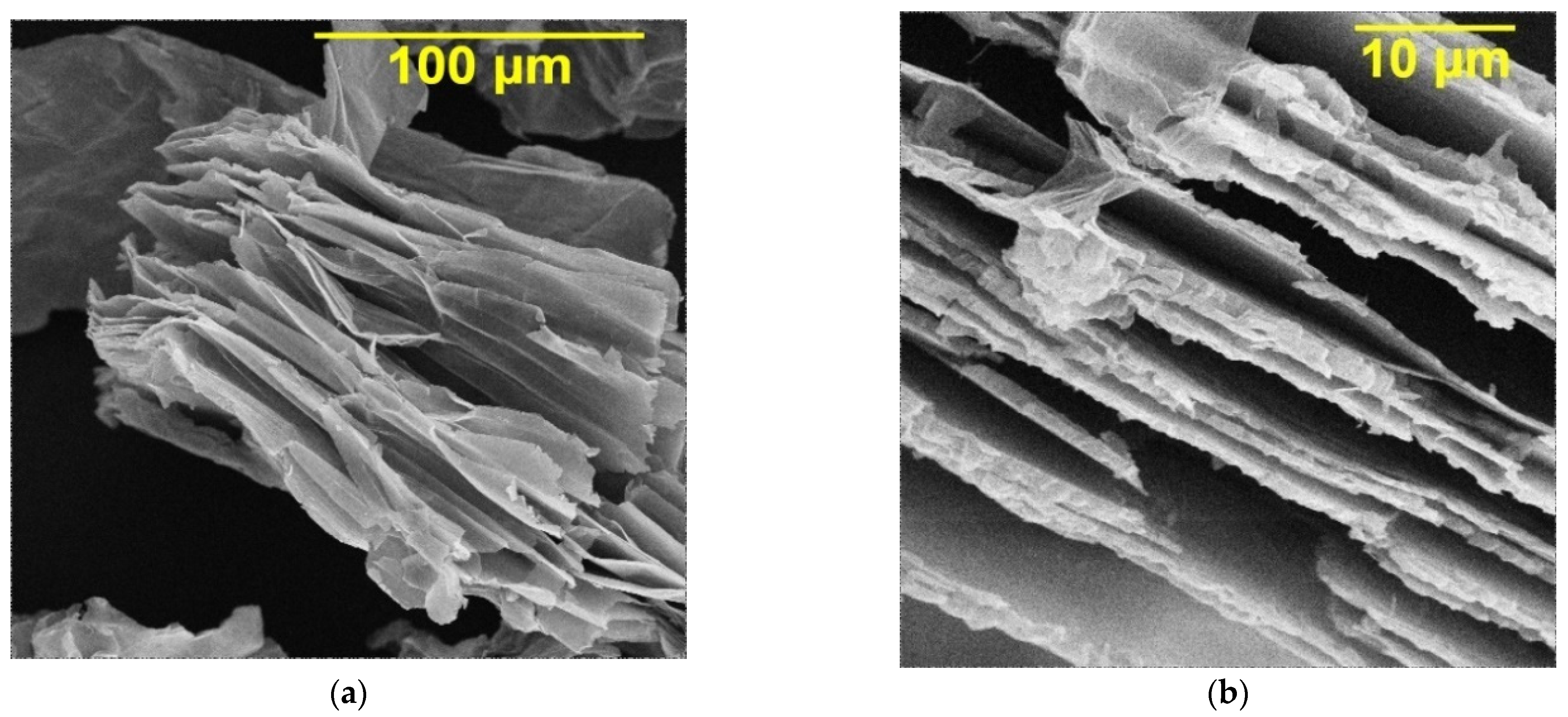 Coatings 12 00656 g002