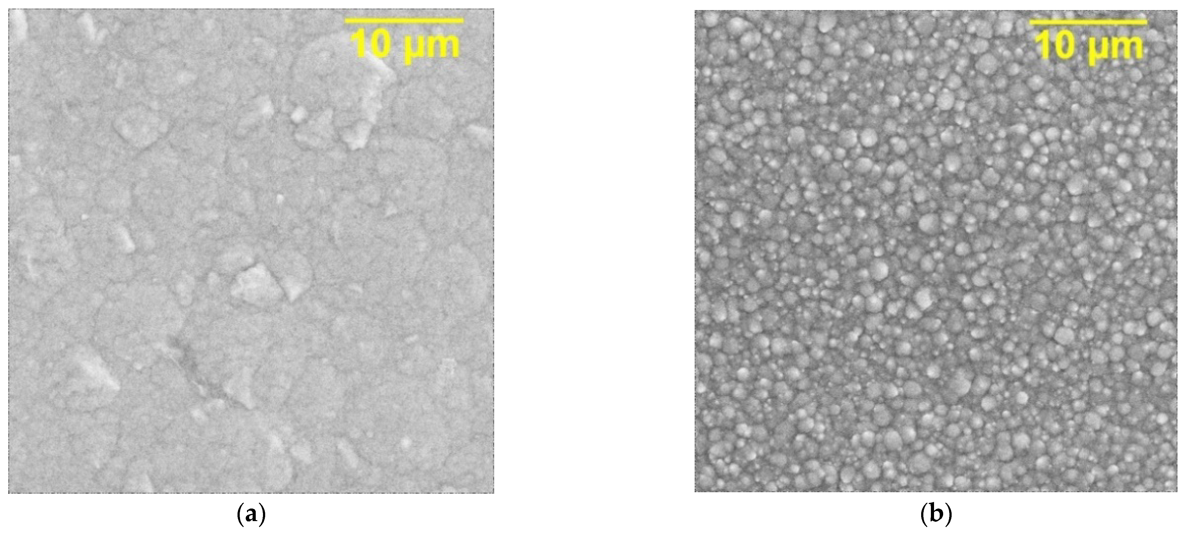 Coatings 12 00656 g004