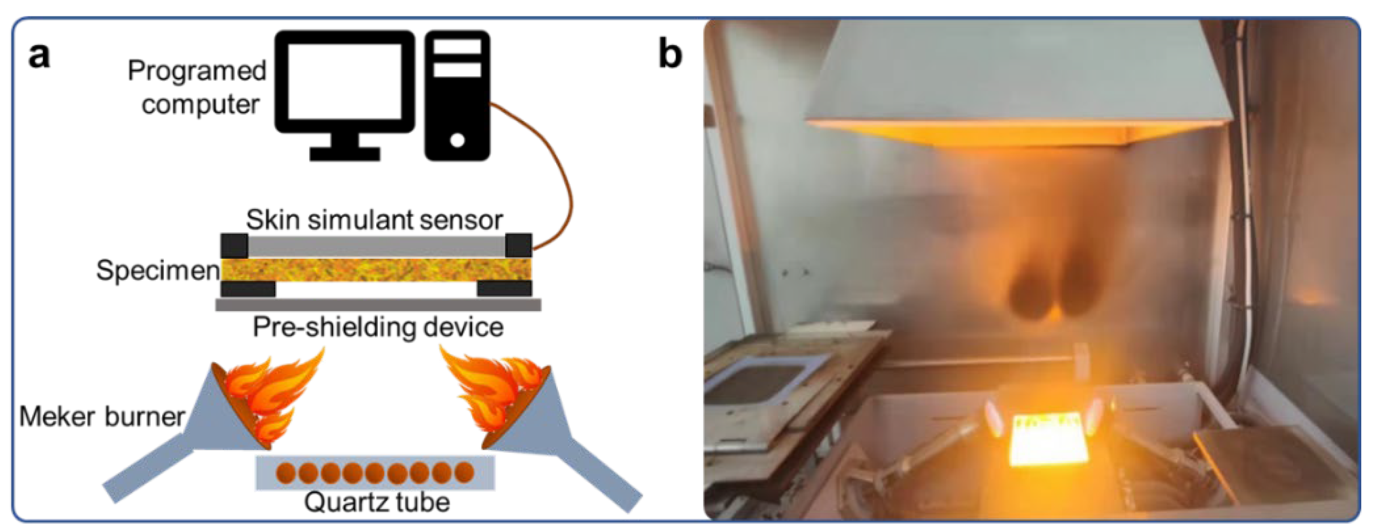 Coatings 12 00657 g002