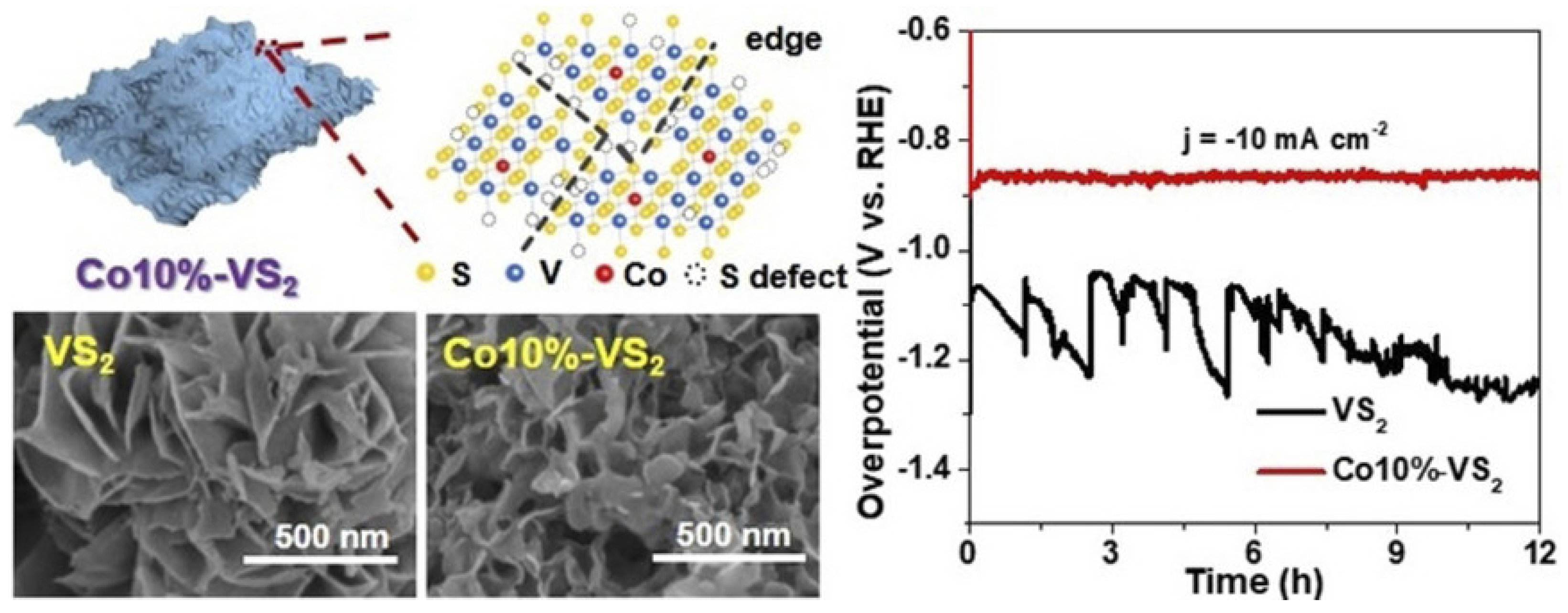 Coatings 12 00659 g002