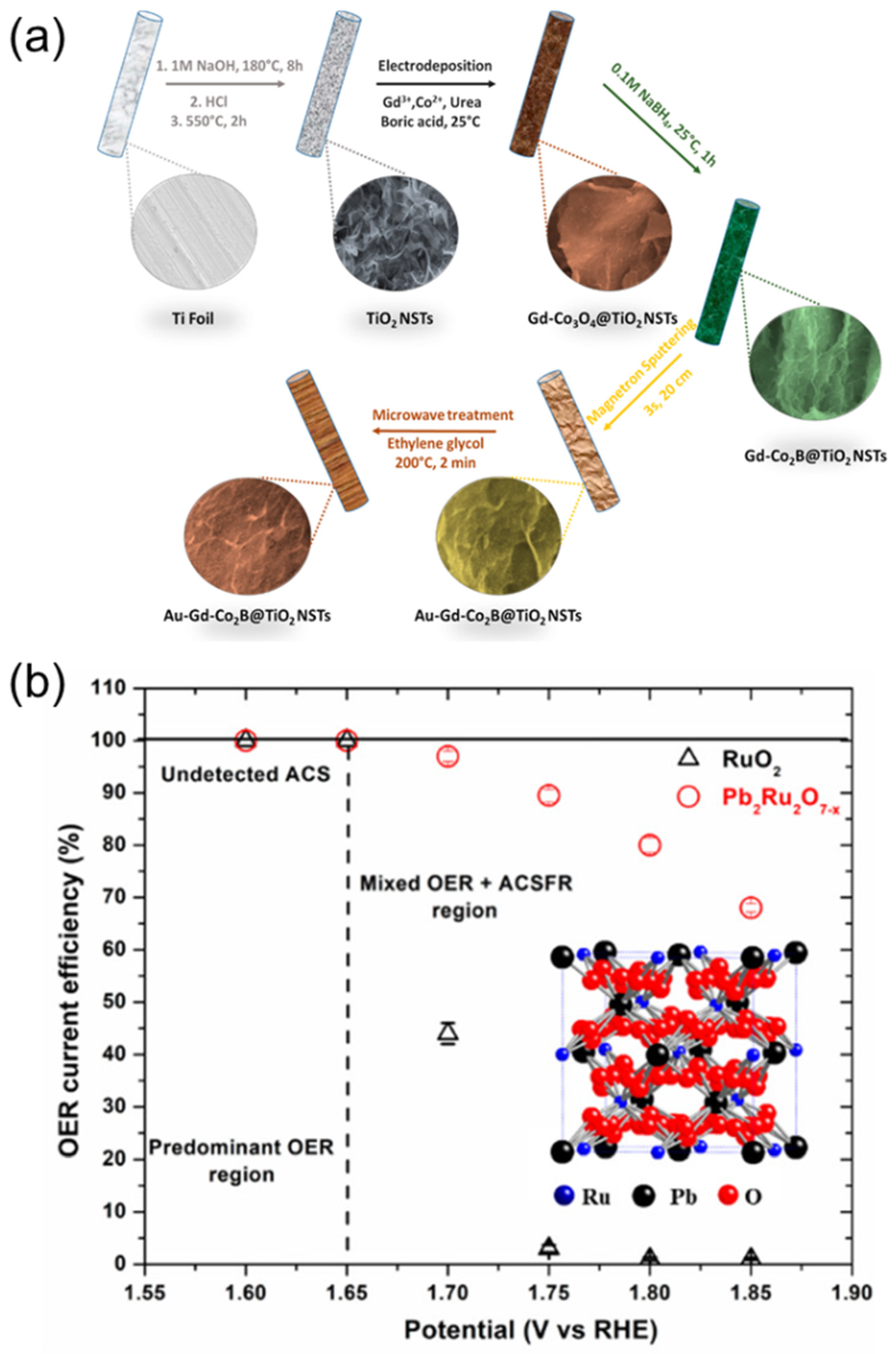 Coatings 12 00659 g005