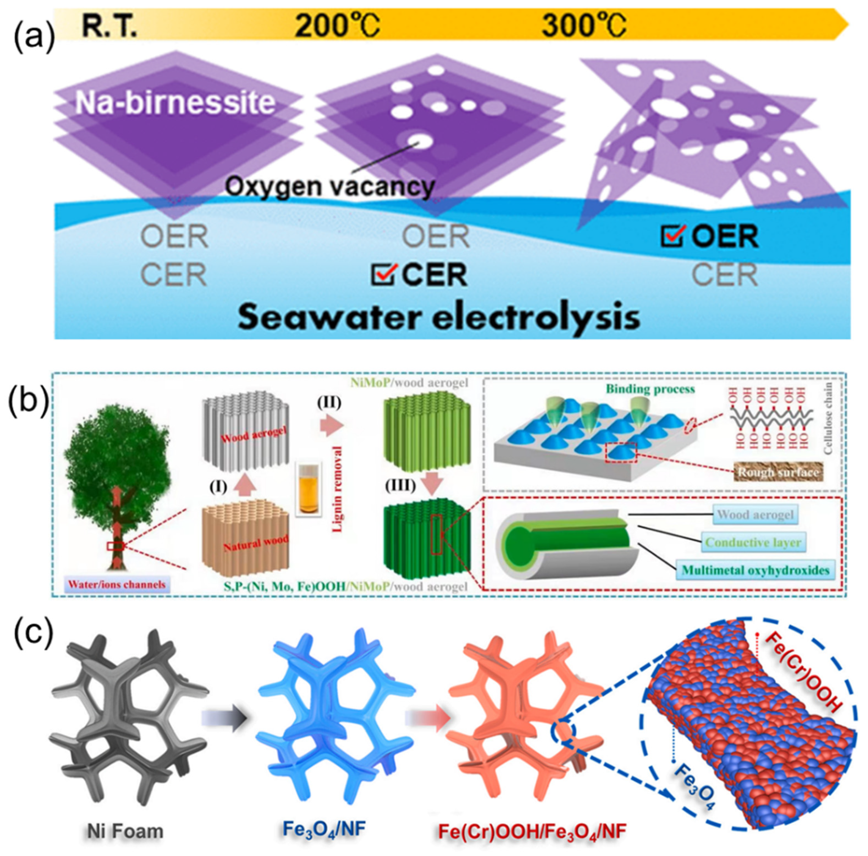 Coatings 12 00659 g007