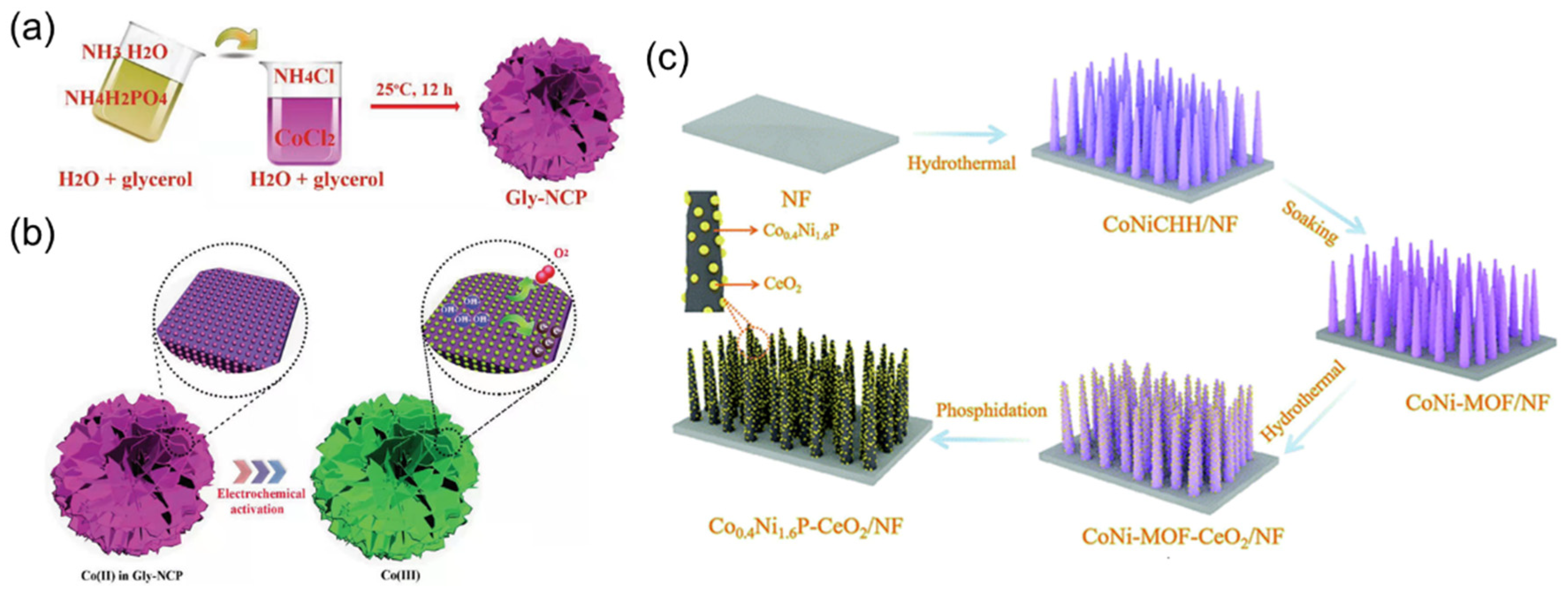 Coatings 12 00659 g008