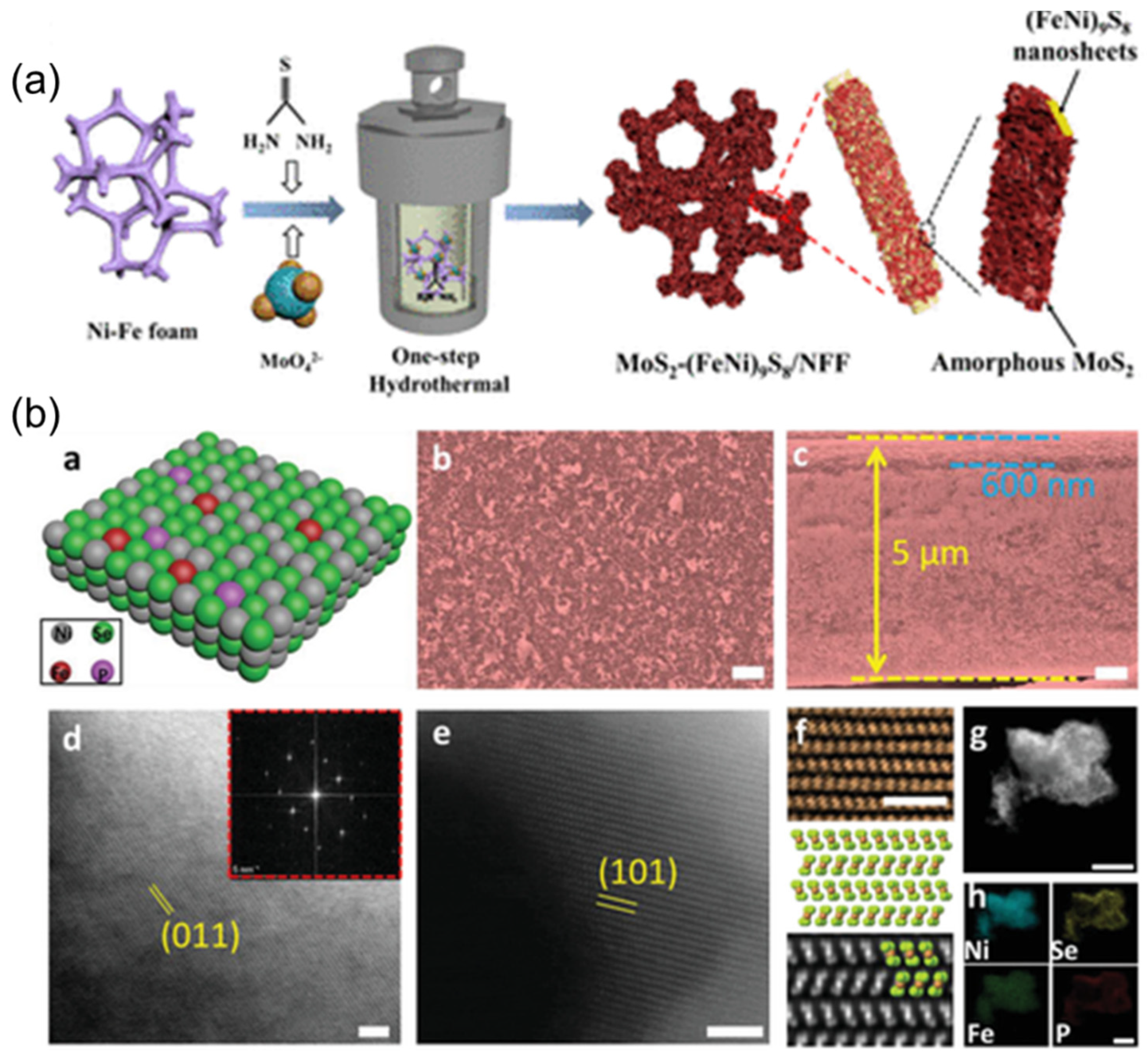 Coatings 12 00659 g009