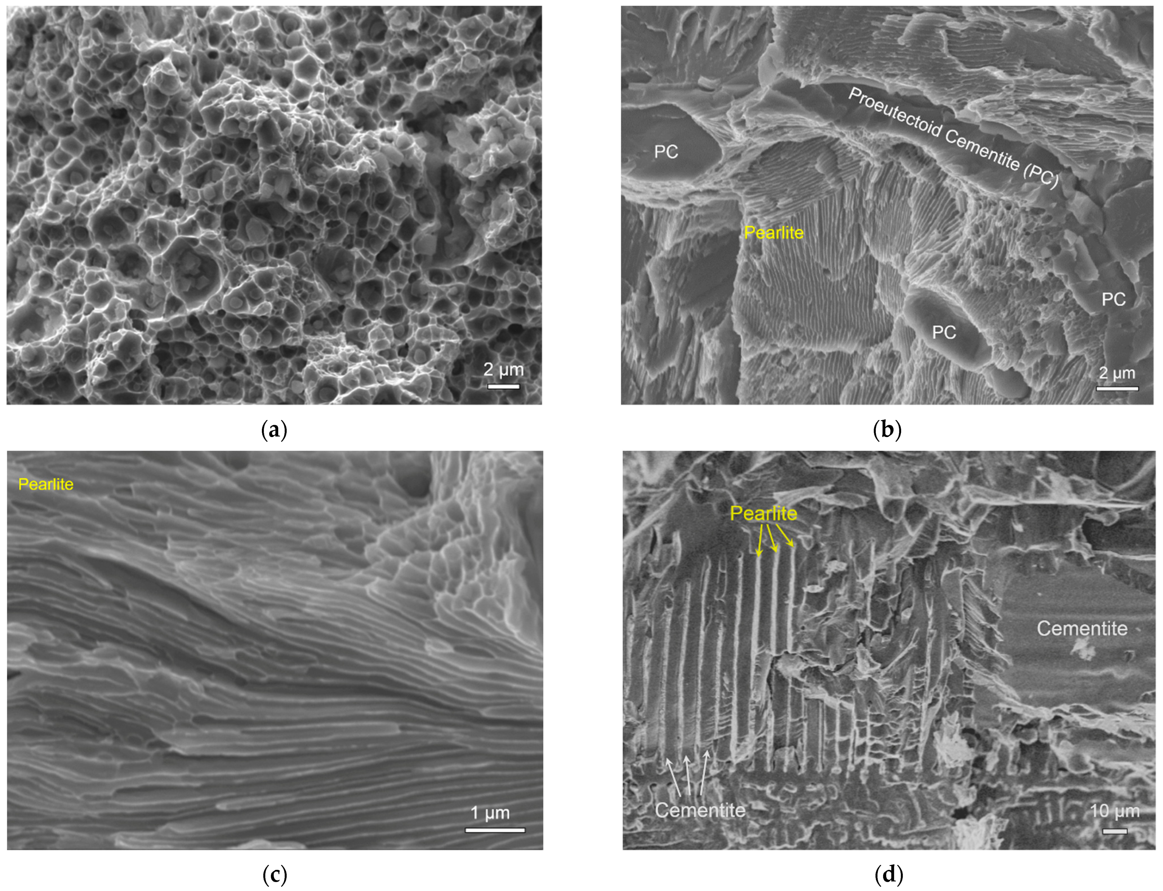 Coatings 12 00662 g004