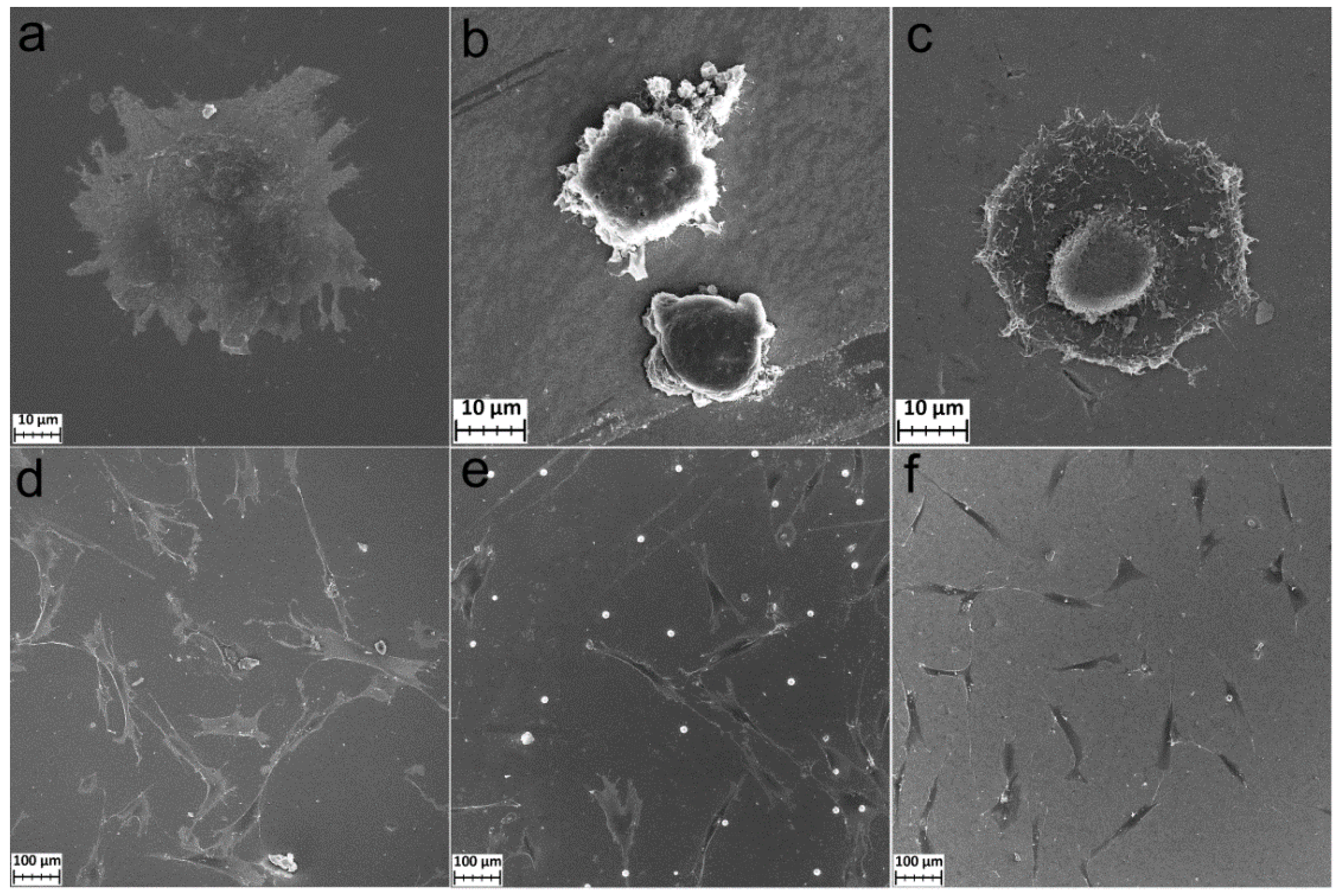 Coatings 12 00668 g009