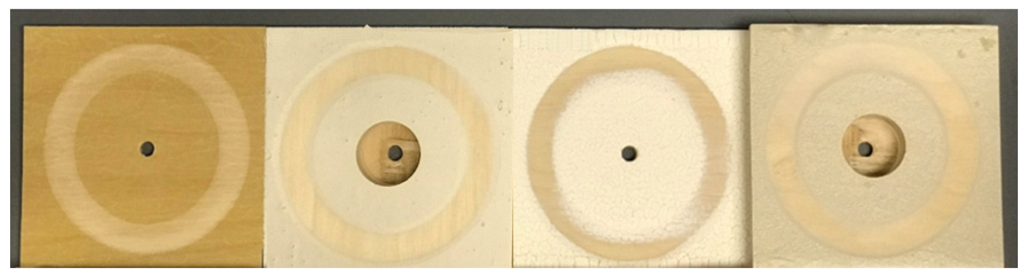 Coatings 12 00673 g008