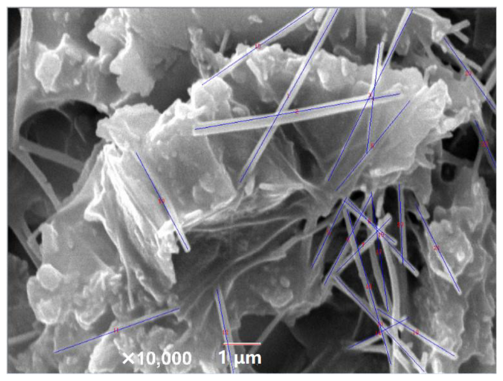 Coatings 12 00674 g002