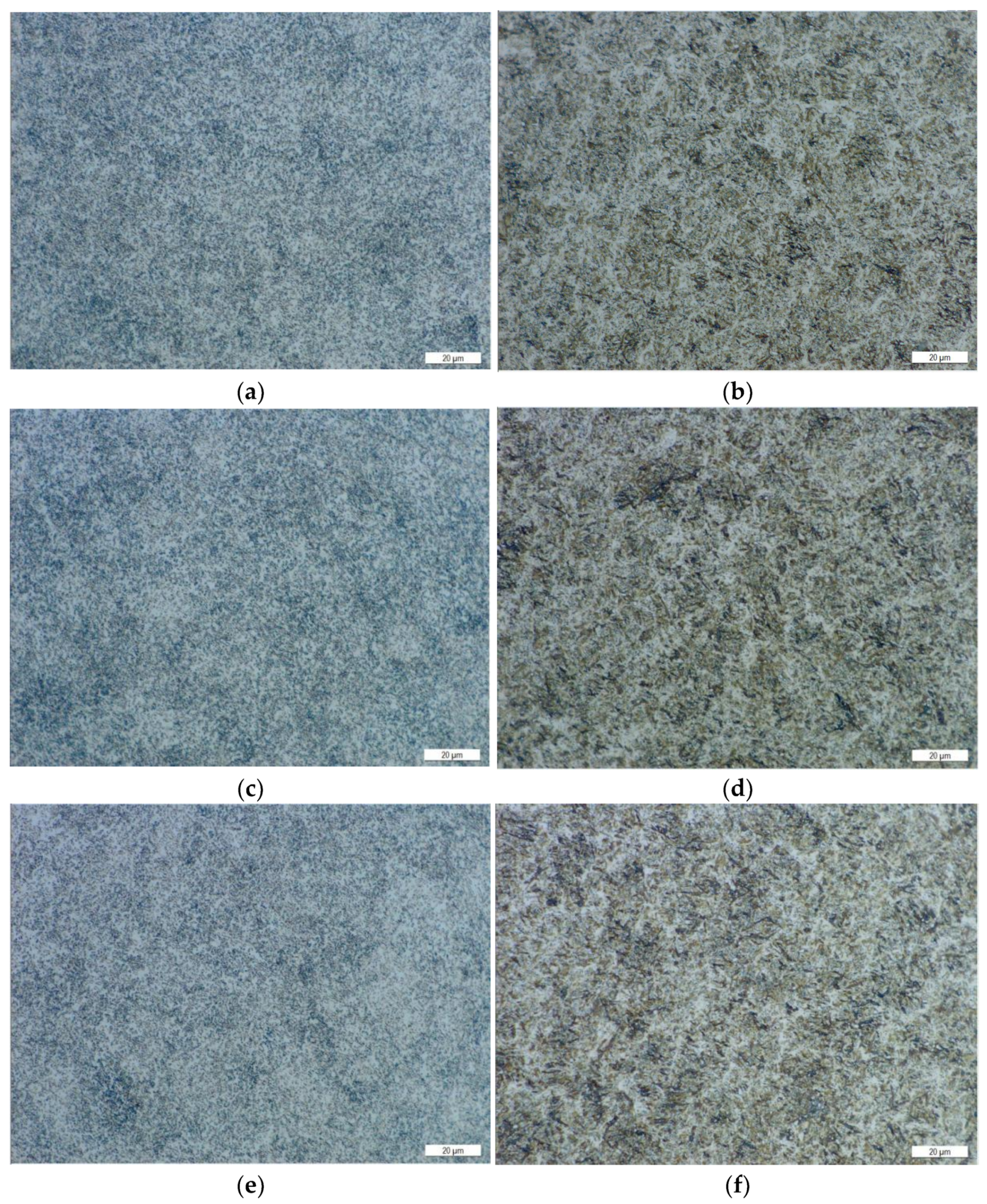 Coatings 12 00676 g002