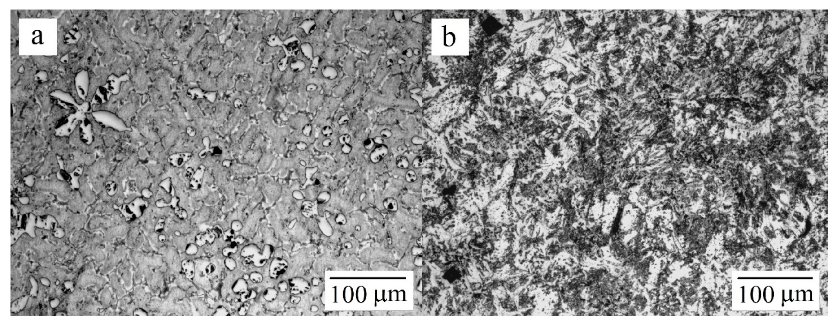 Coatings 12 00688 g002
