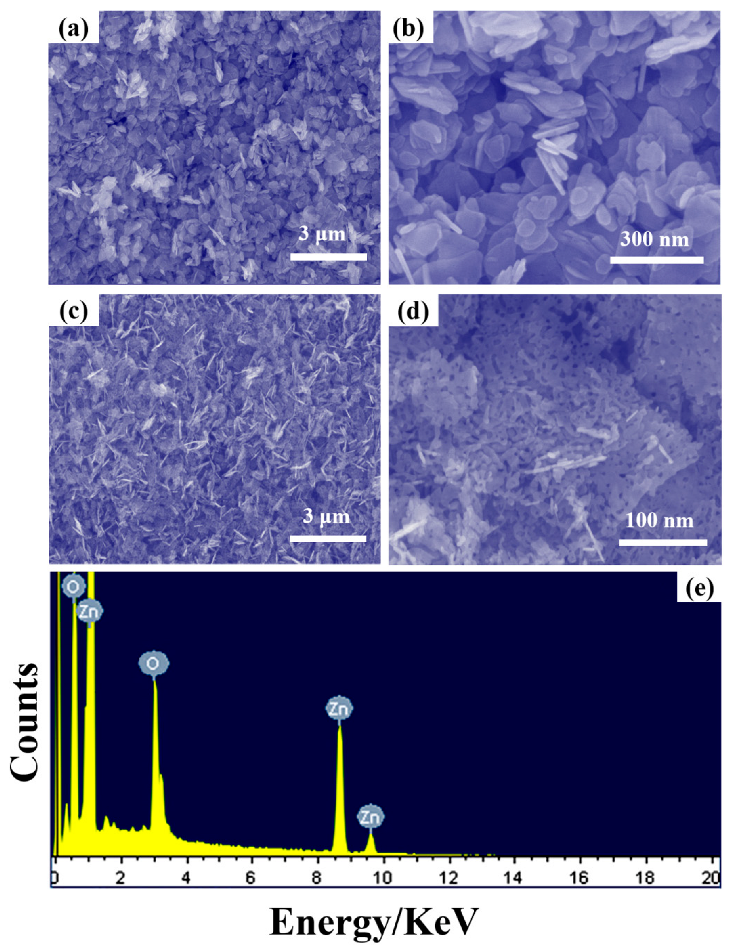 Coatings 12 00695 g002