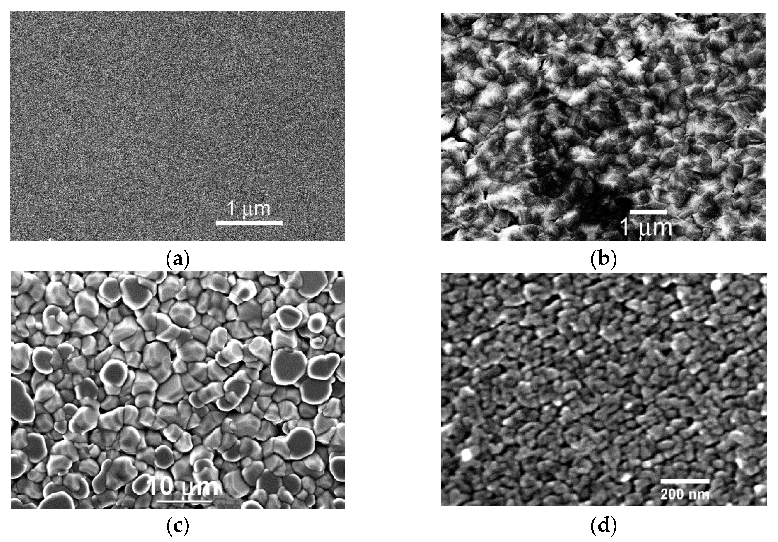 Coatings 12 00709 g003