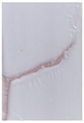 Coatings 12 00732 i008