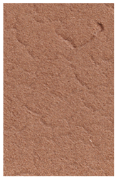 Coatings 12 00732 i019