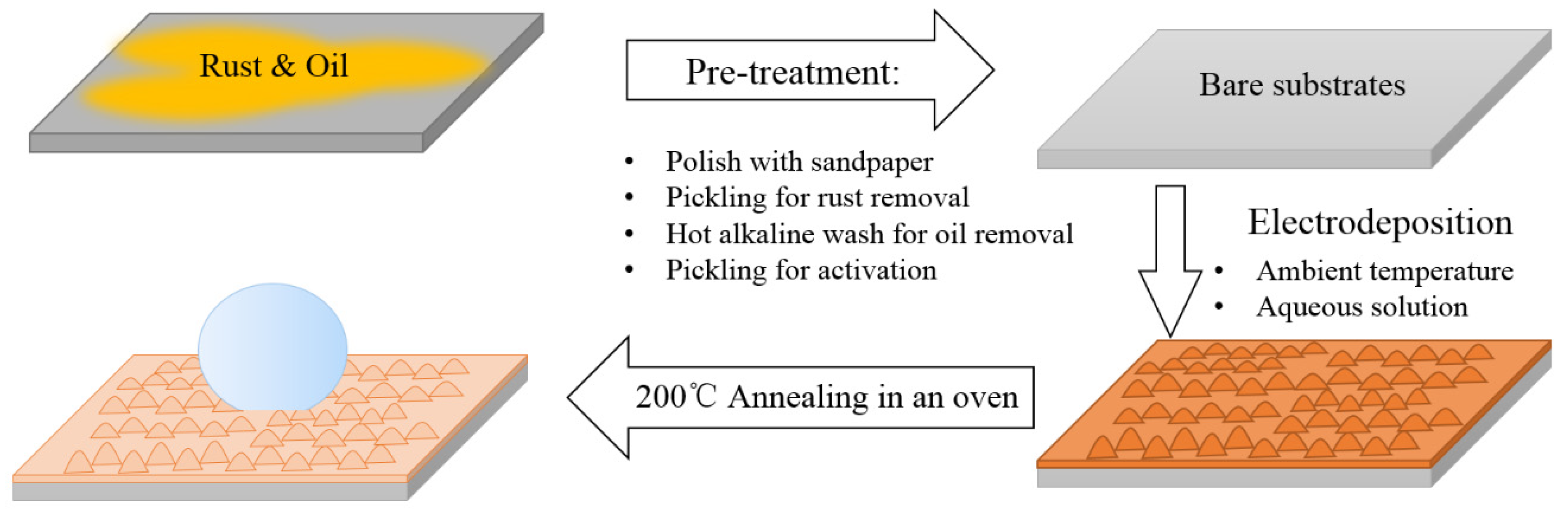 Coatings 12 00737 g001