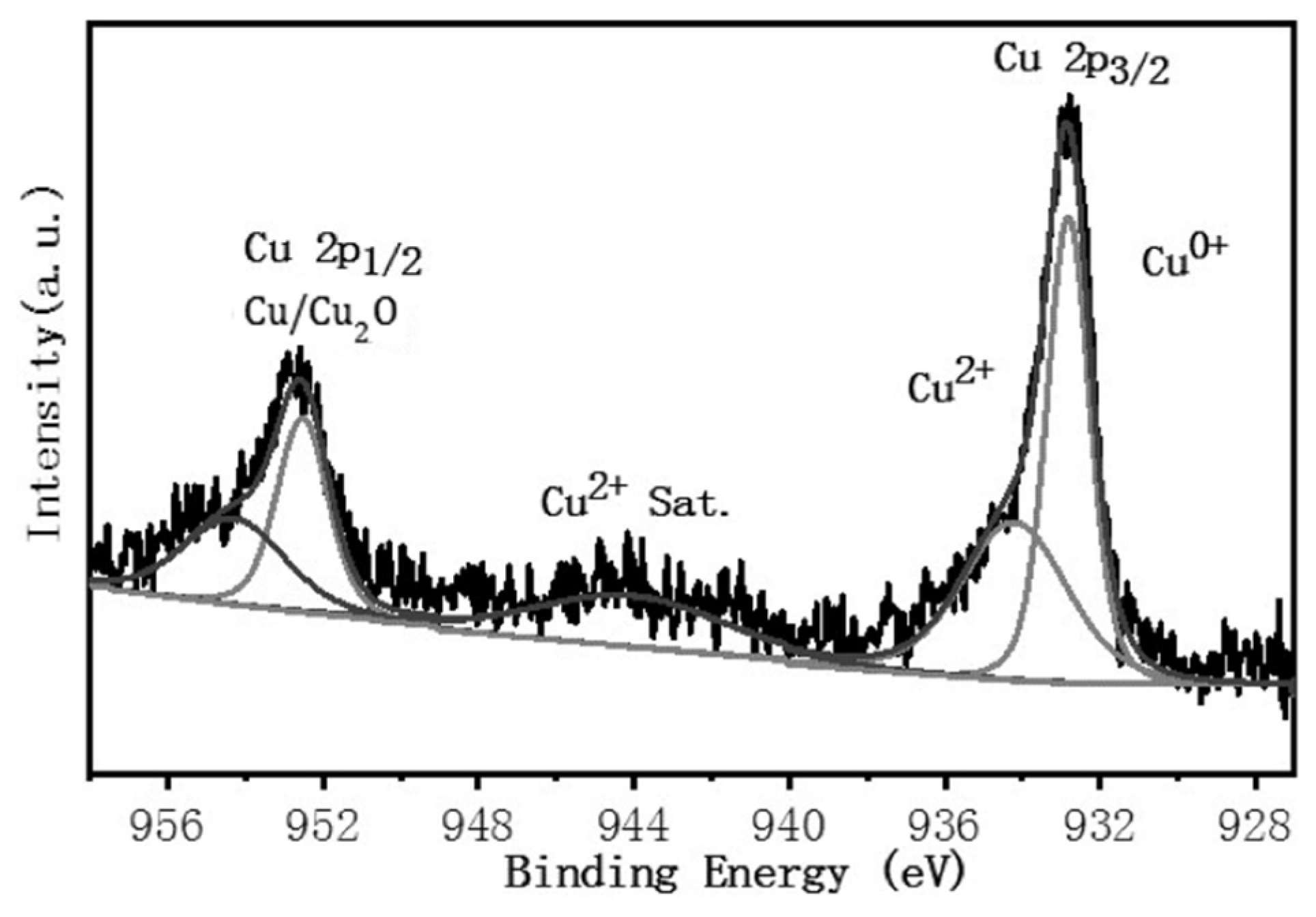 Coatings 12 00737 g010