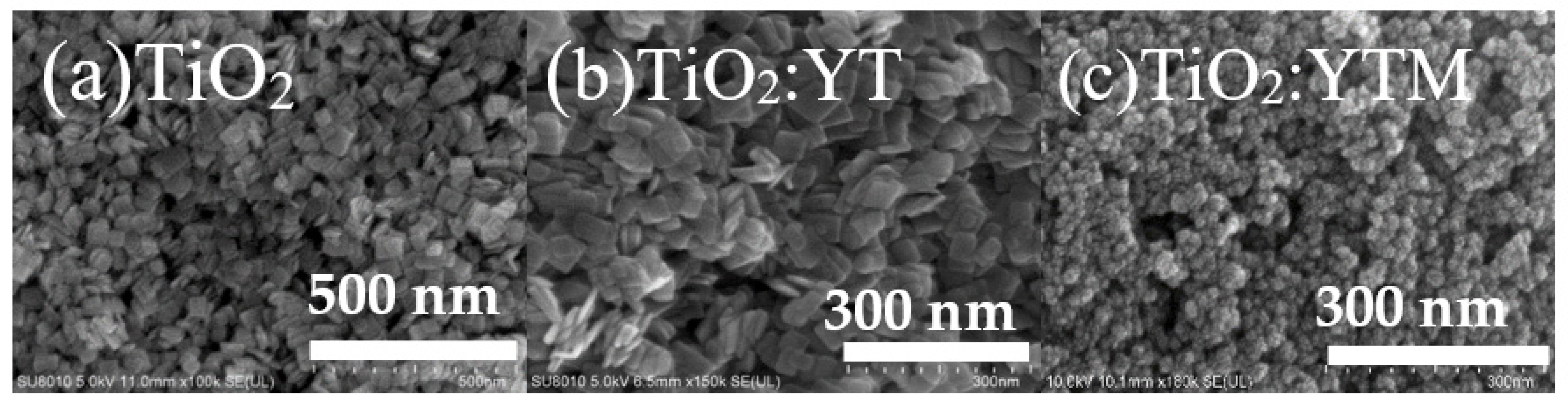 Coatings 12 00744 g001