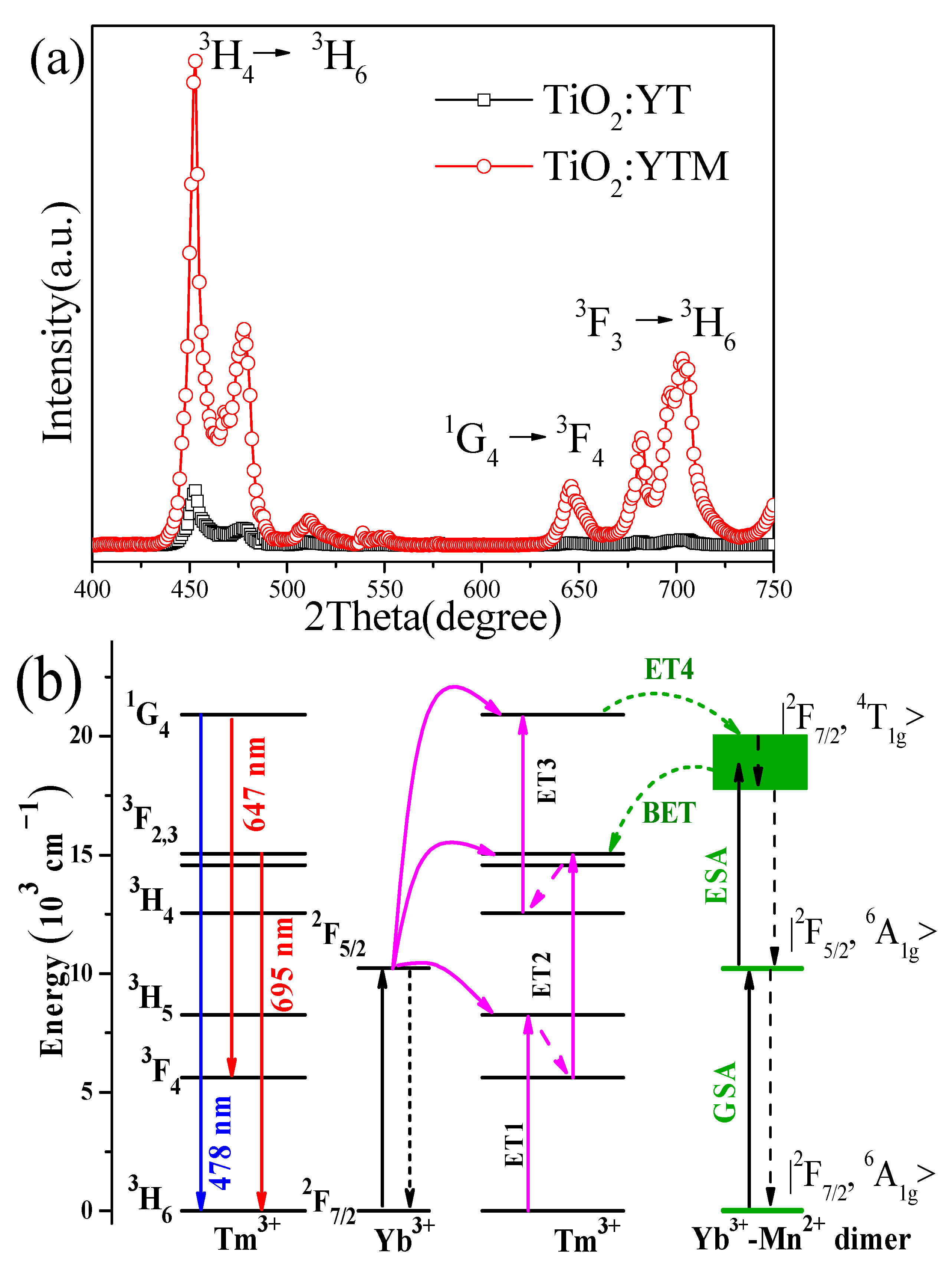 Coatings 12 00744 g003