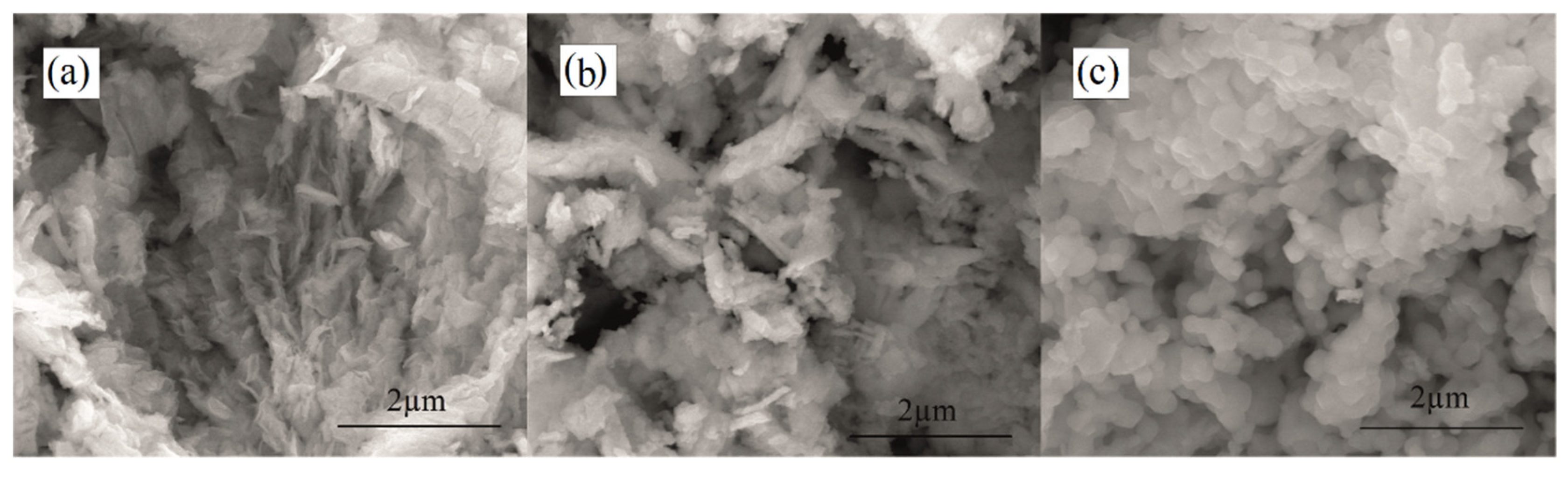Coatings 12 00747 g002